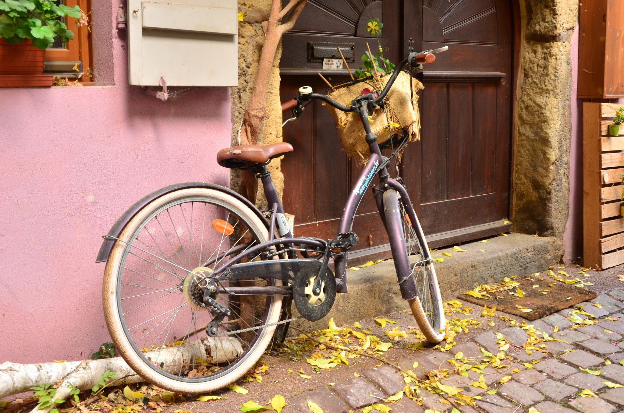 Vélo (Eguisheim, Alsace)