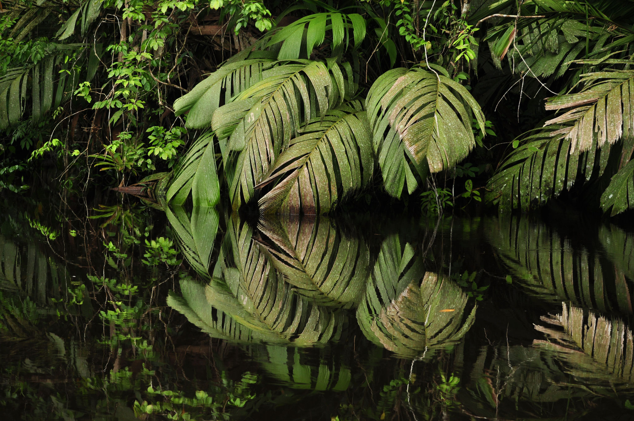 Reflets géométriques