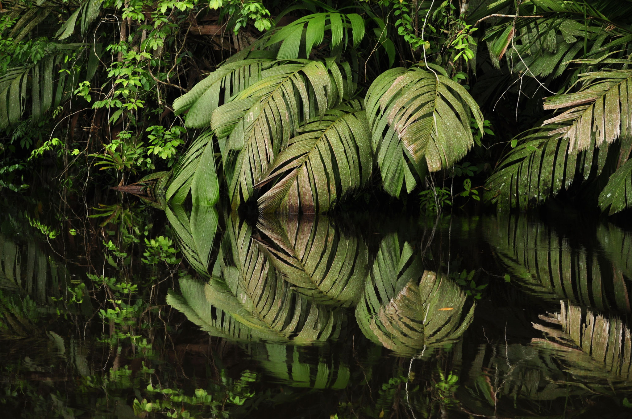 Reflets géométriques