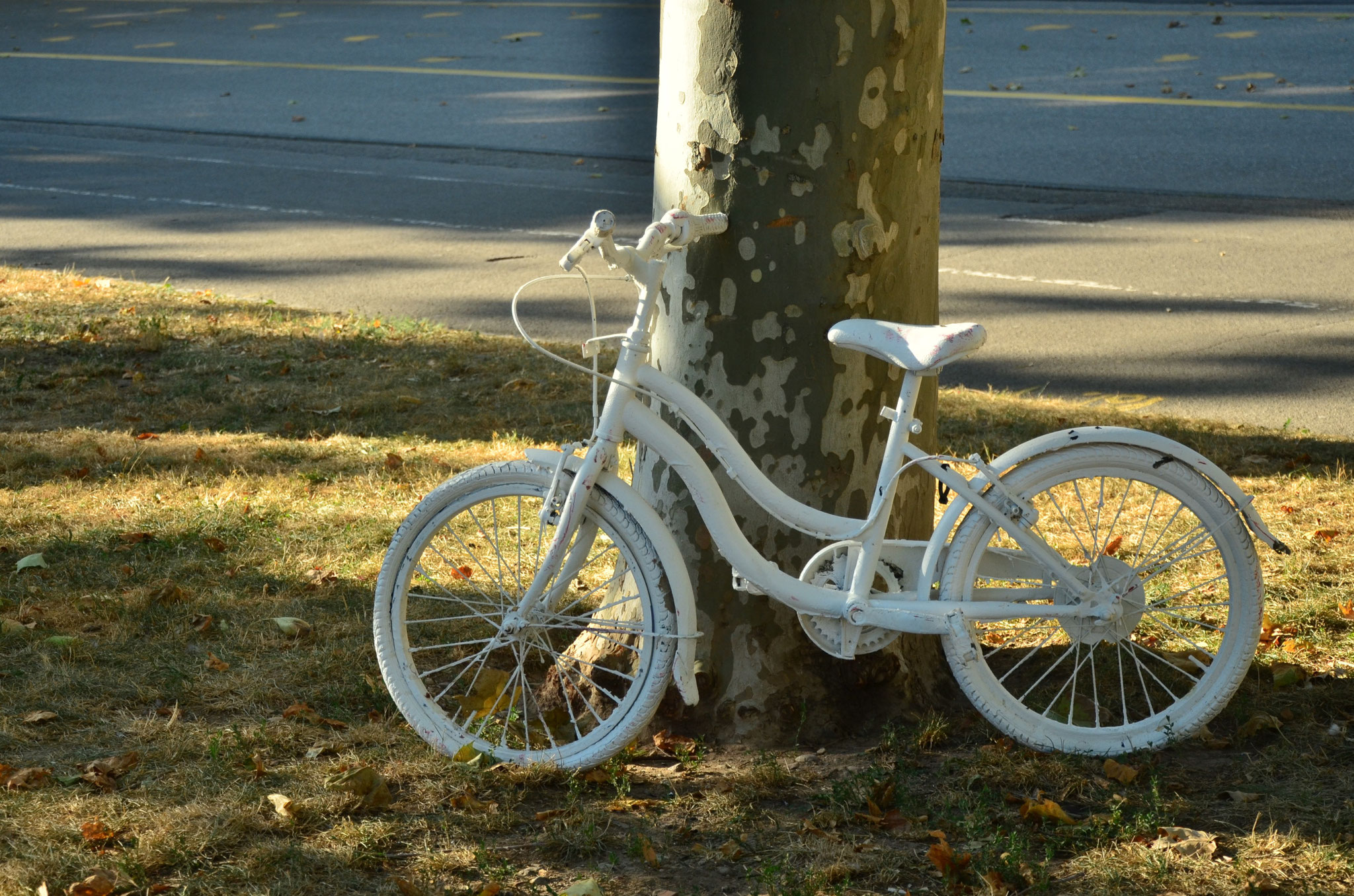 Vélo peint en blanc