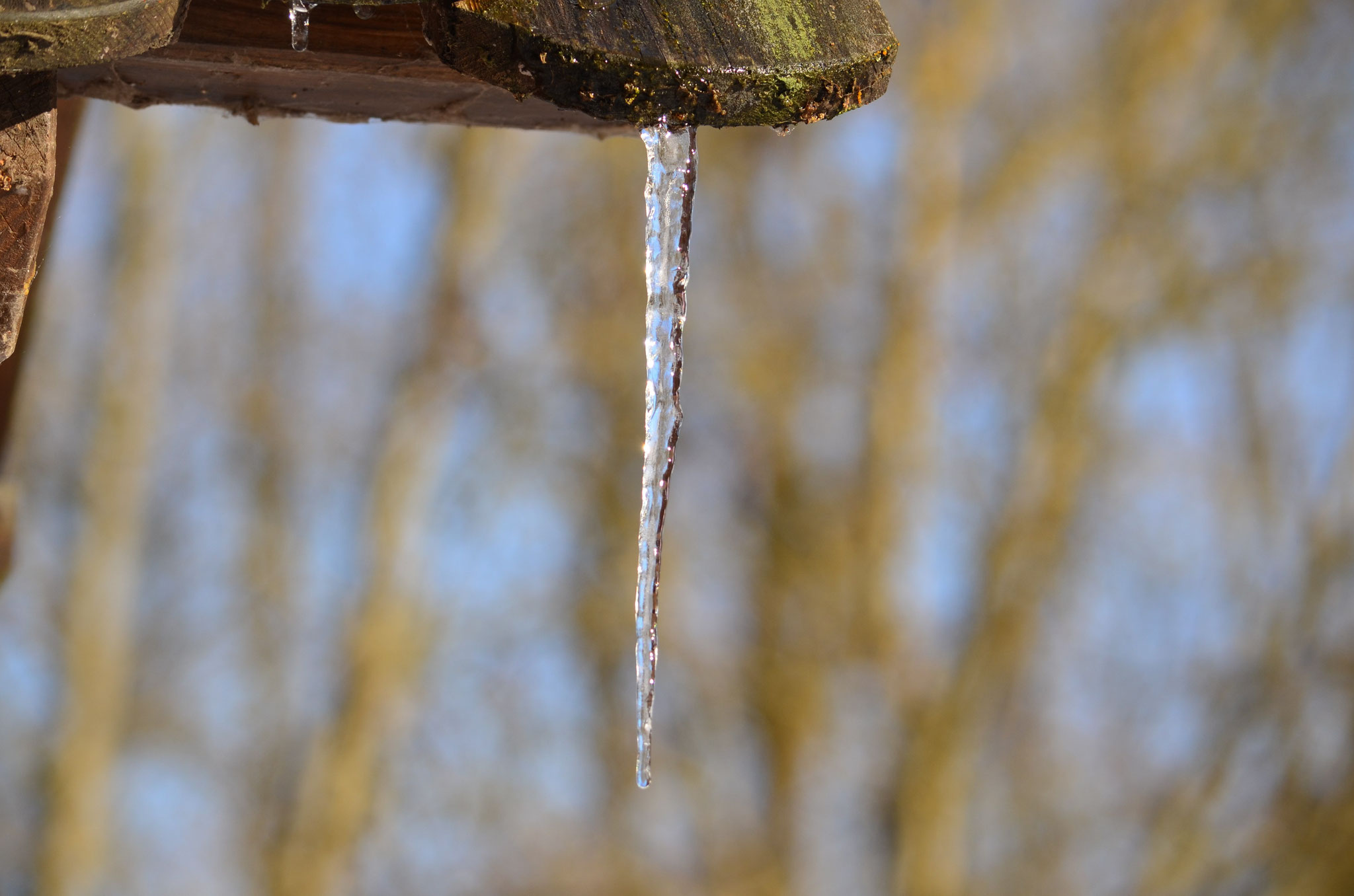 Stalactite de glace