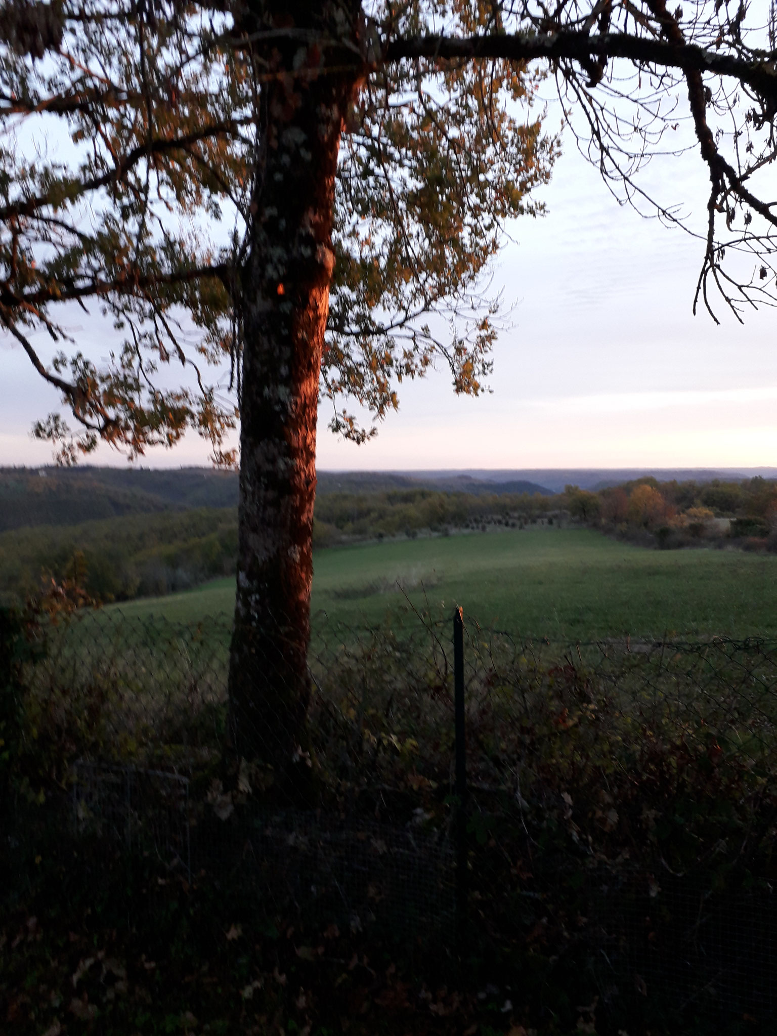 Promenade sur le Causse de Saint-Pierre Lafeuille
