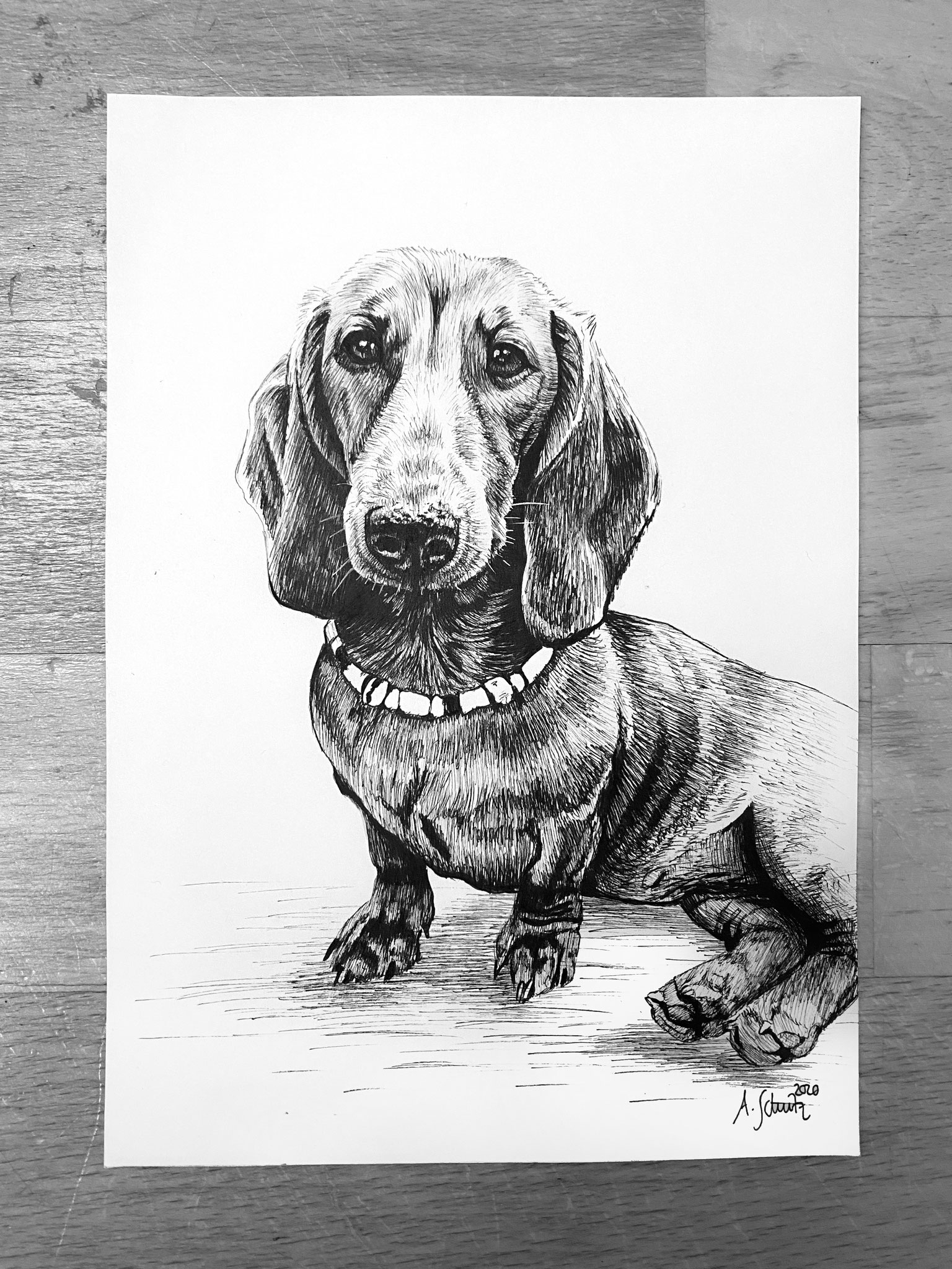 Dackeldame Tilda, Pigmentliner, A5. 