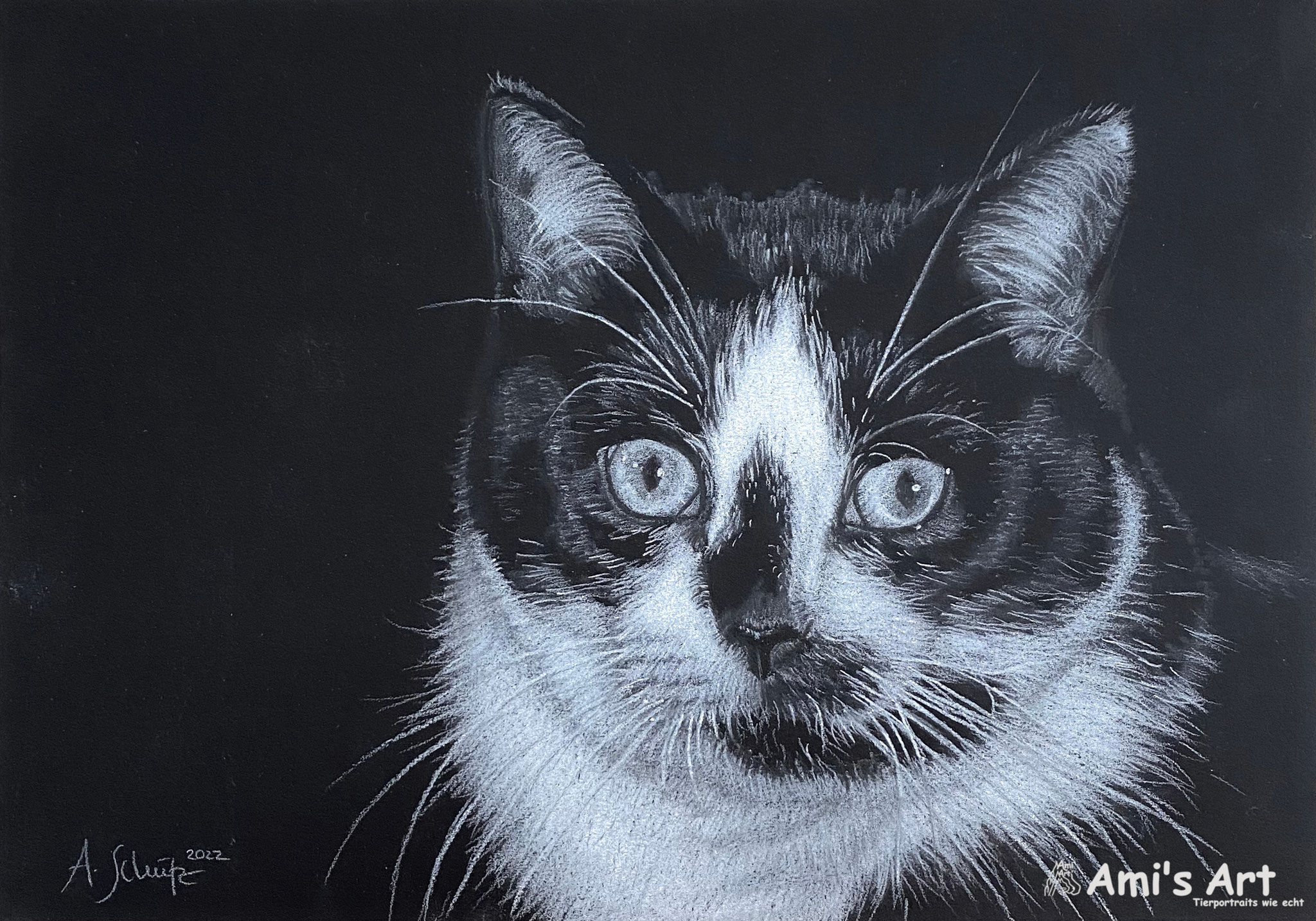 Benny, Black&White, A5.