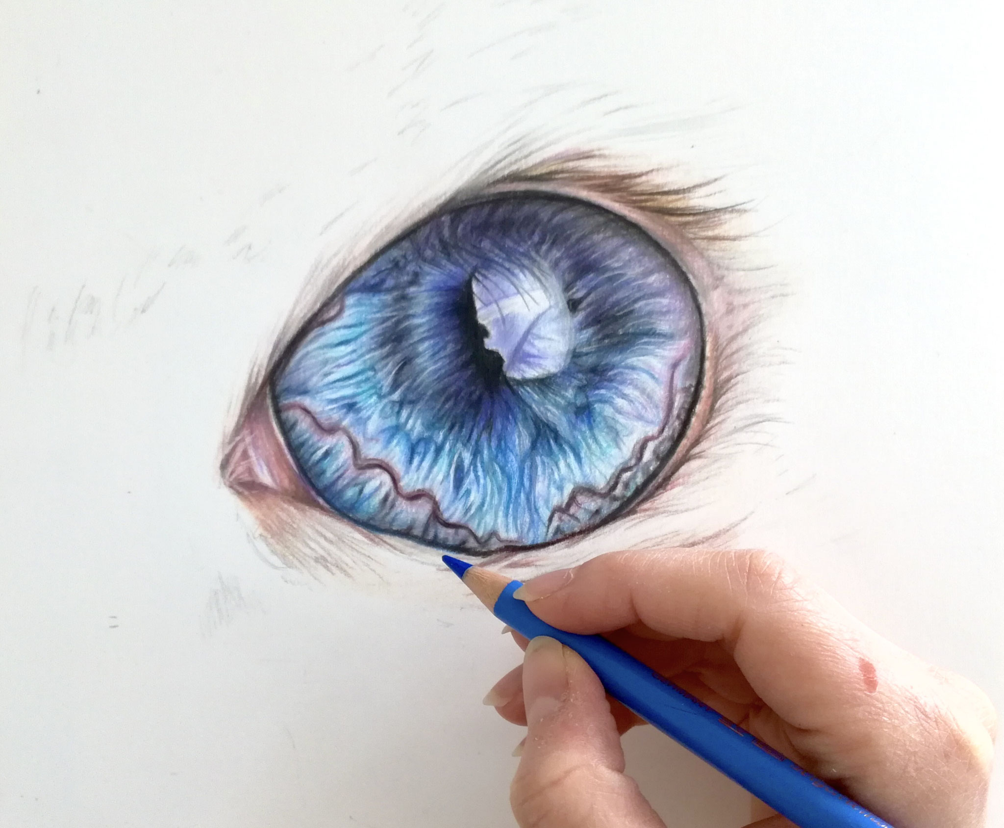 Cat's eye, focus (beginner) tutorial. 