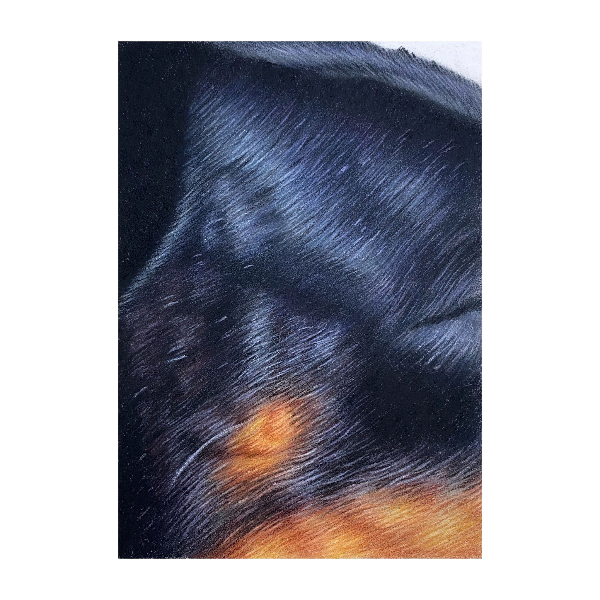 Doberman fur, focus tutorial. 