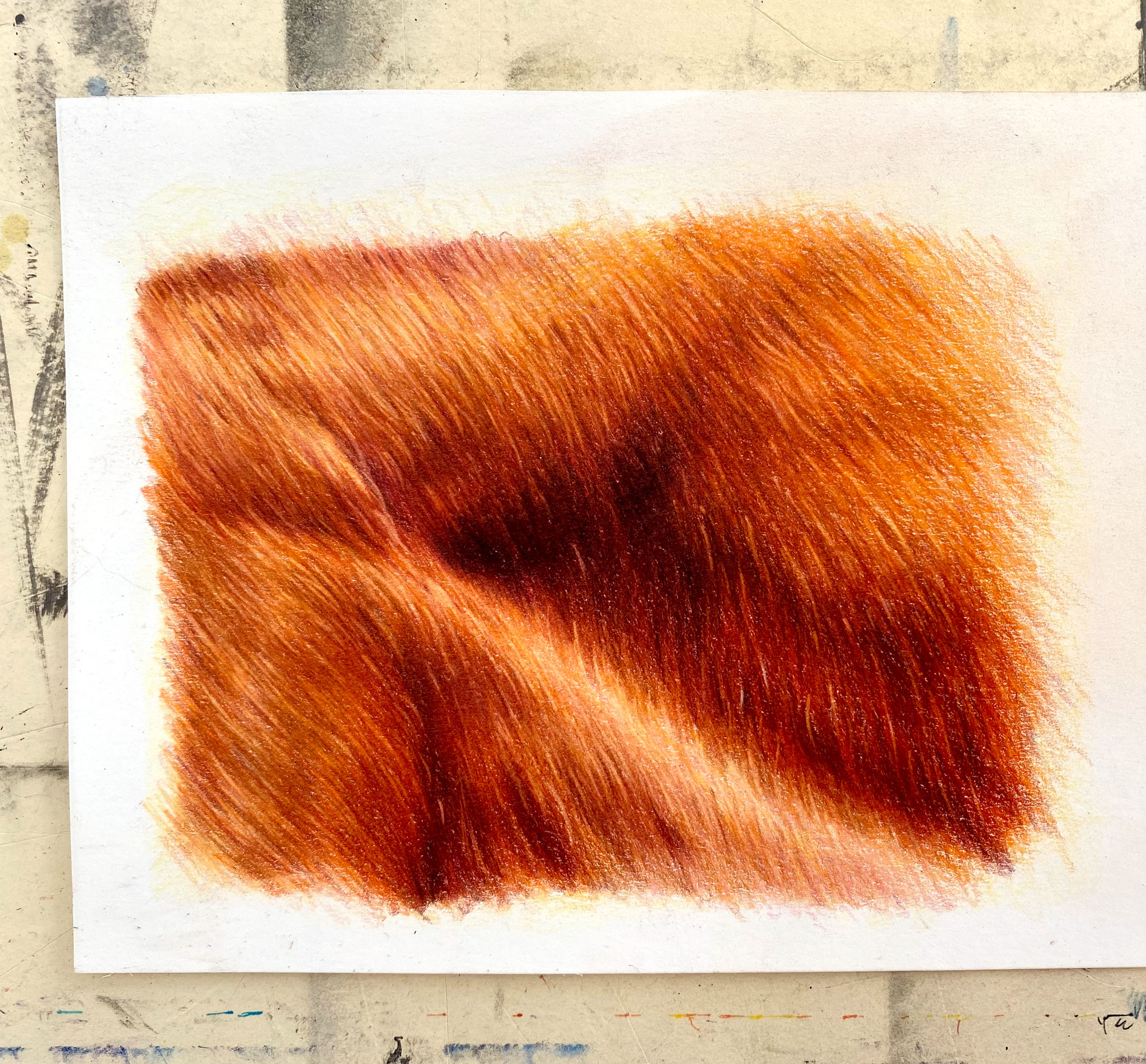 Chestnut horse fur, focus tutorial.