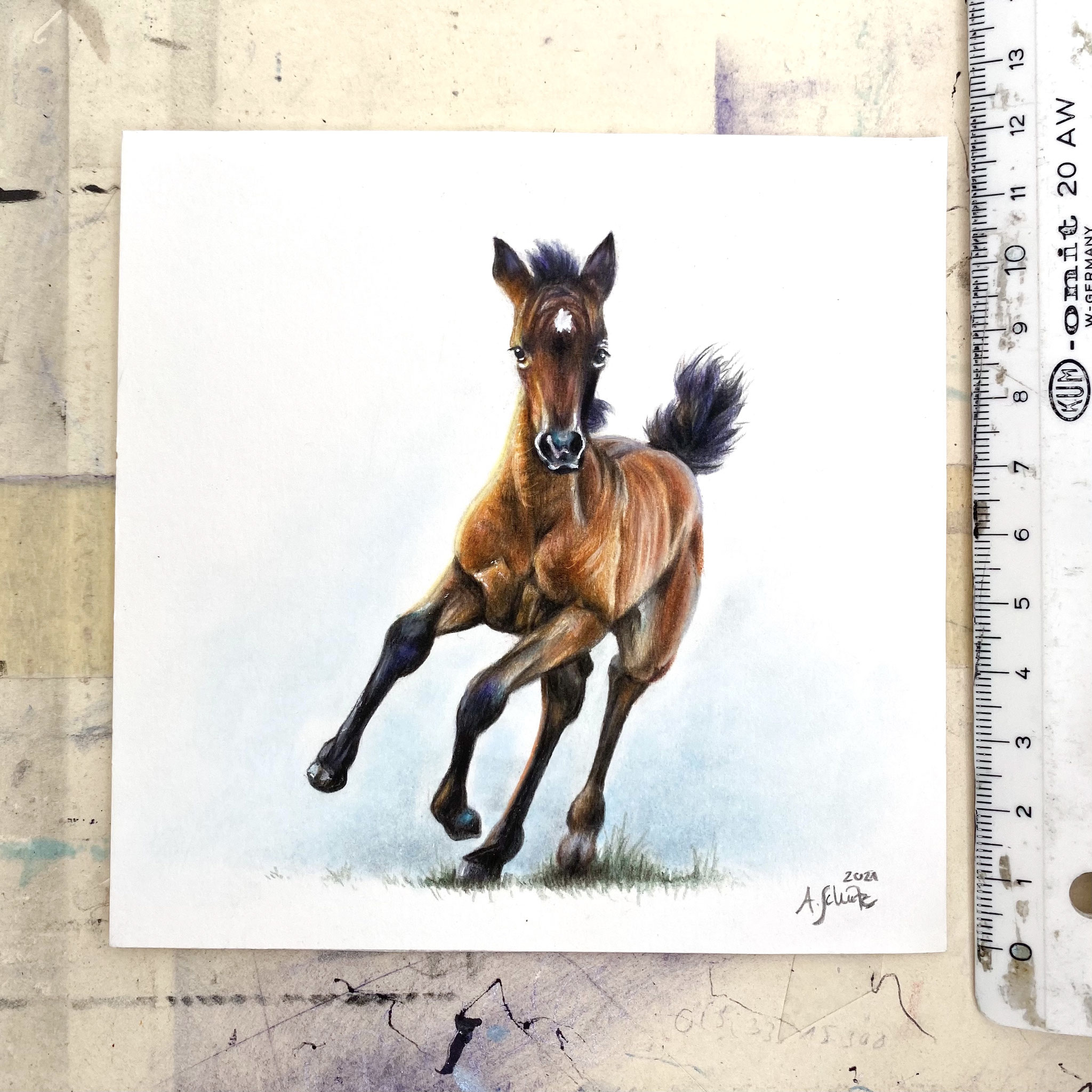 Miniature foal, focus tutorial.