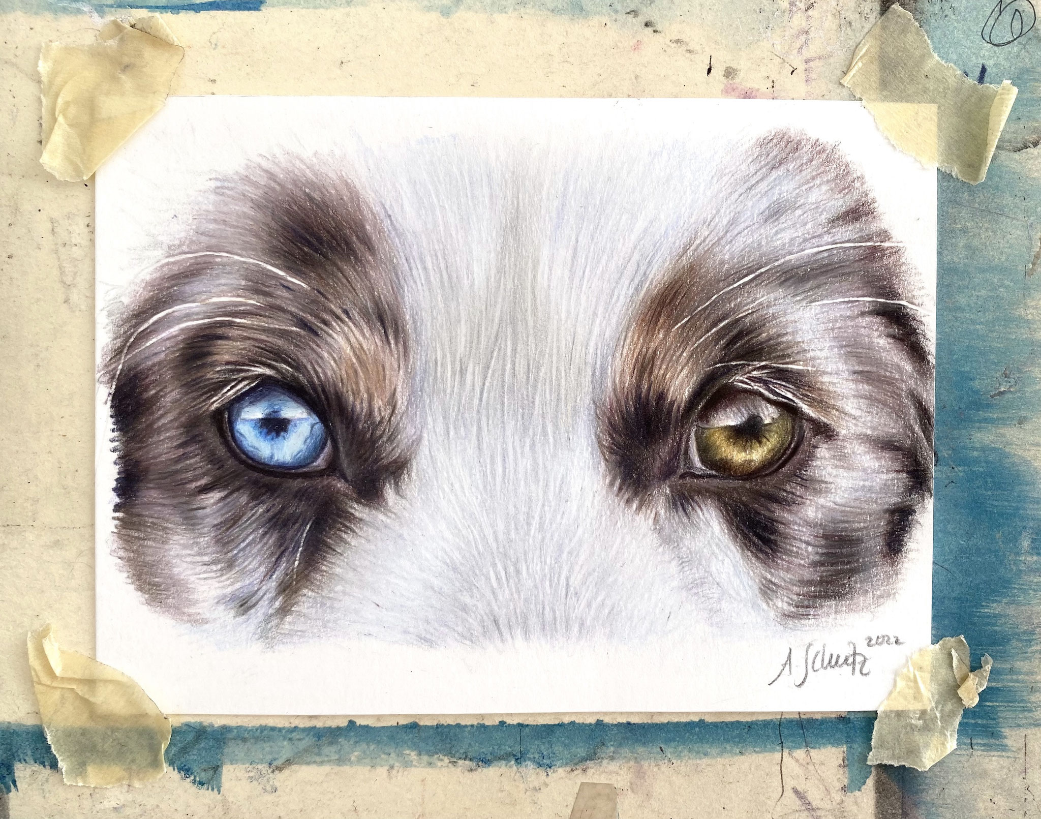 Dog's eyes, full tutorial.