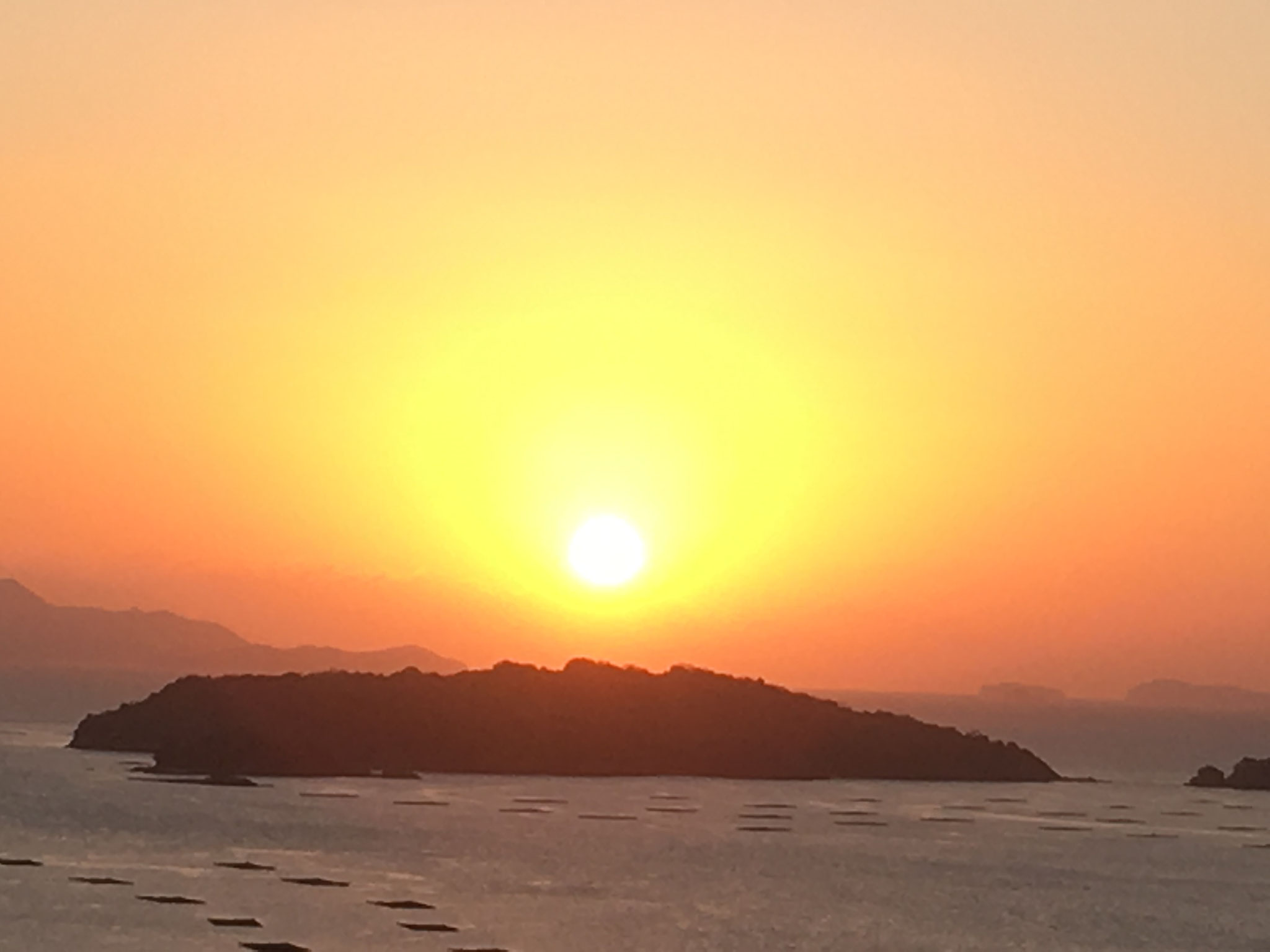 みかん山からの初日の出