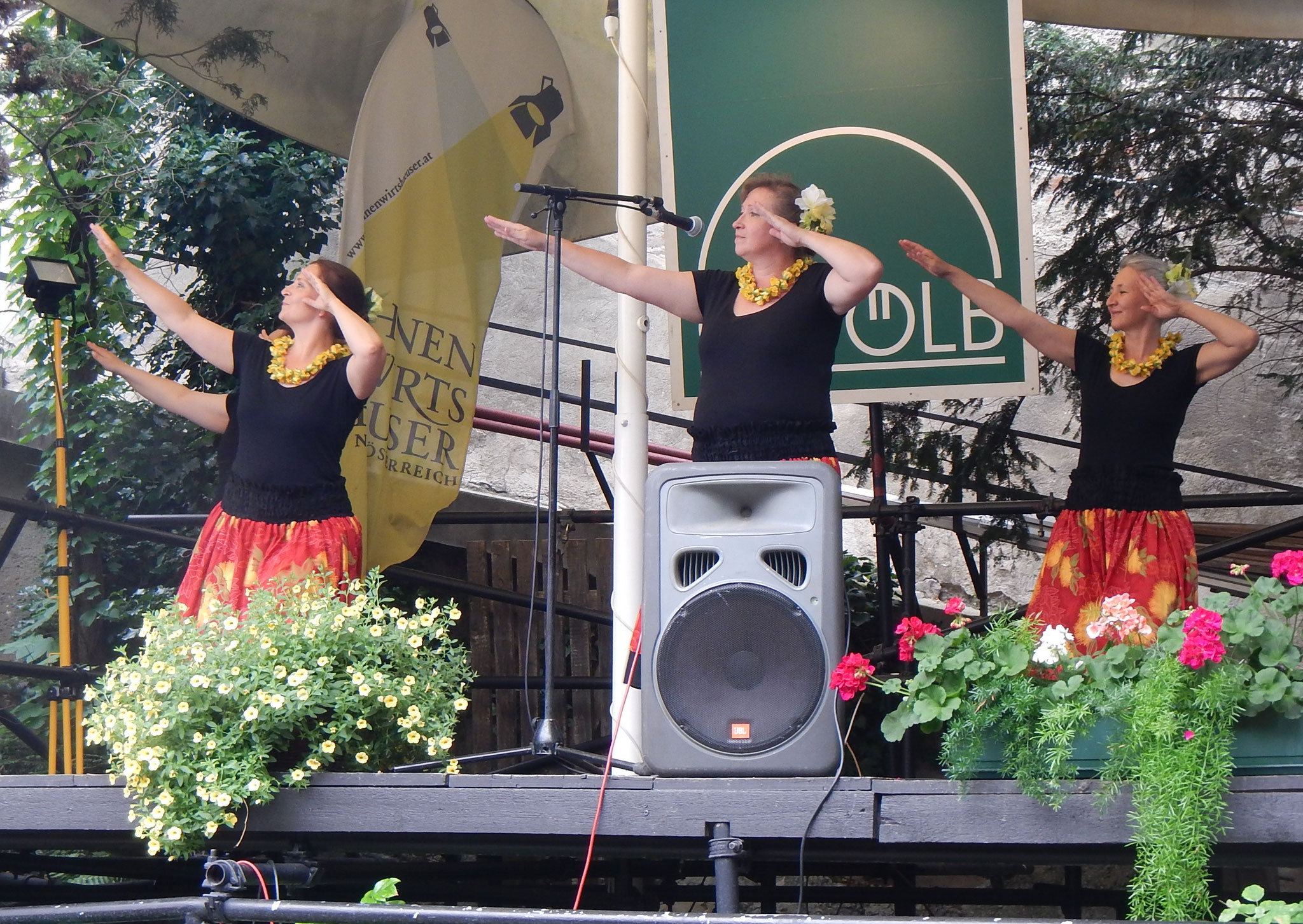 Höfefest Korneuburg 2015