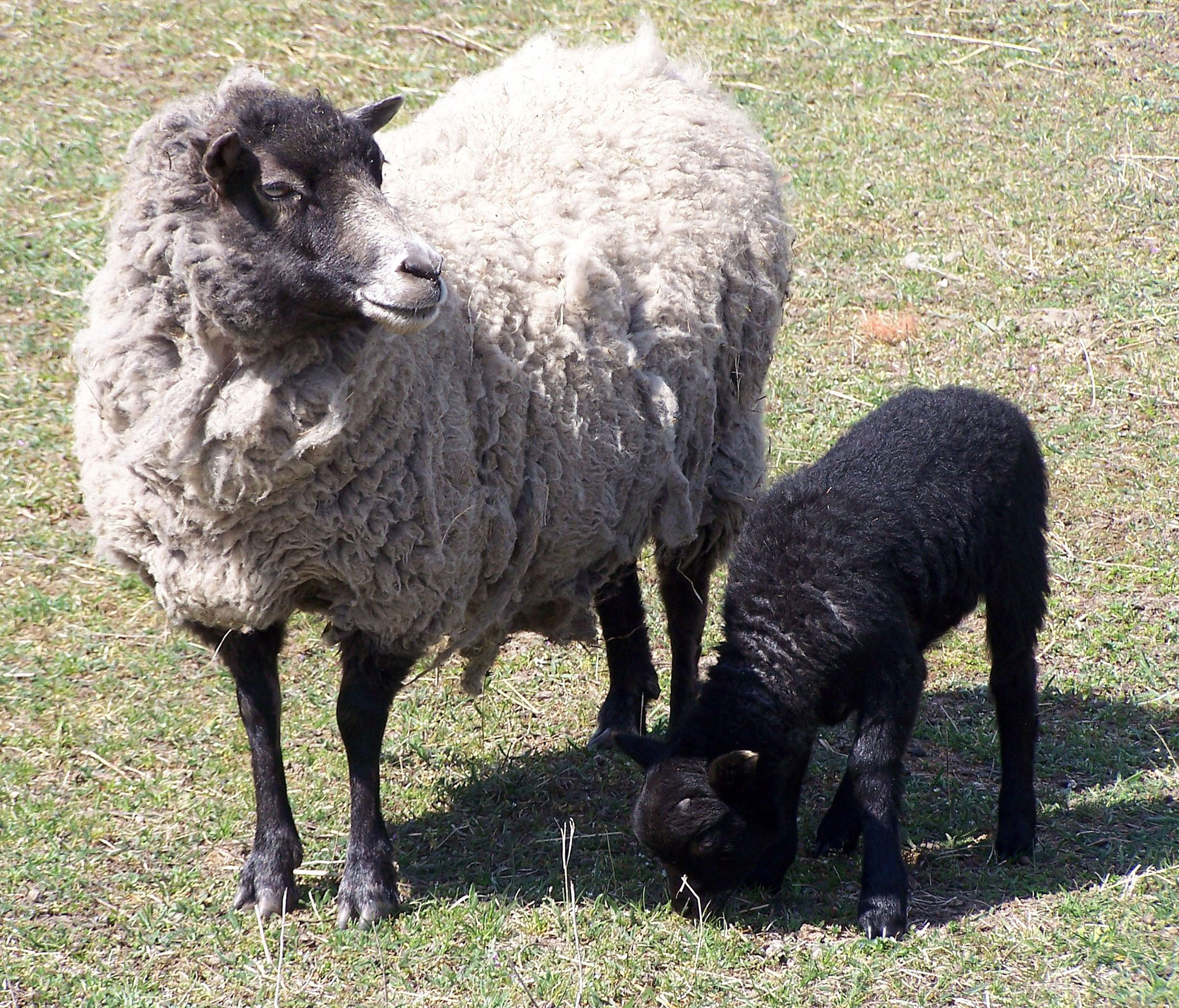 Toivo mit Mutter Tamina