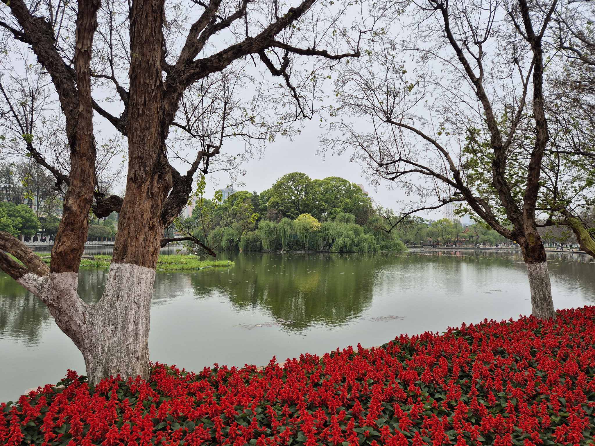 📍 Cuihu Park