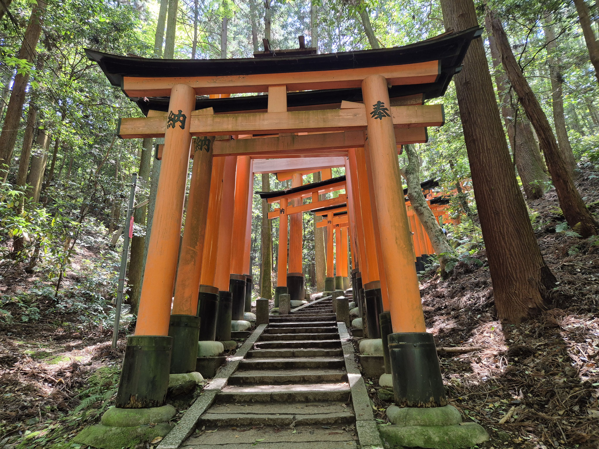 📍Fushimi Inari-Taisha