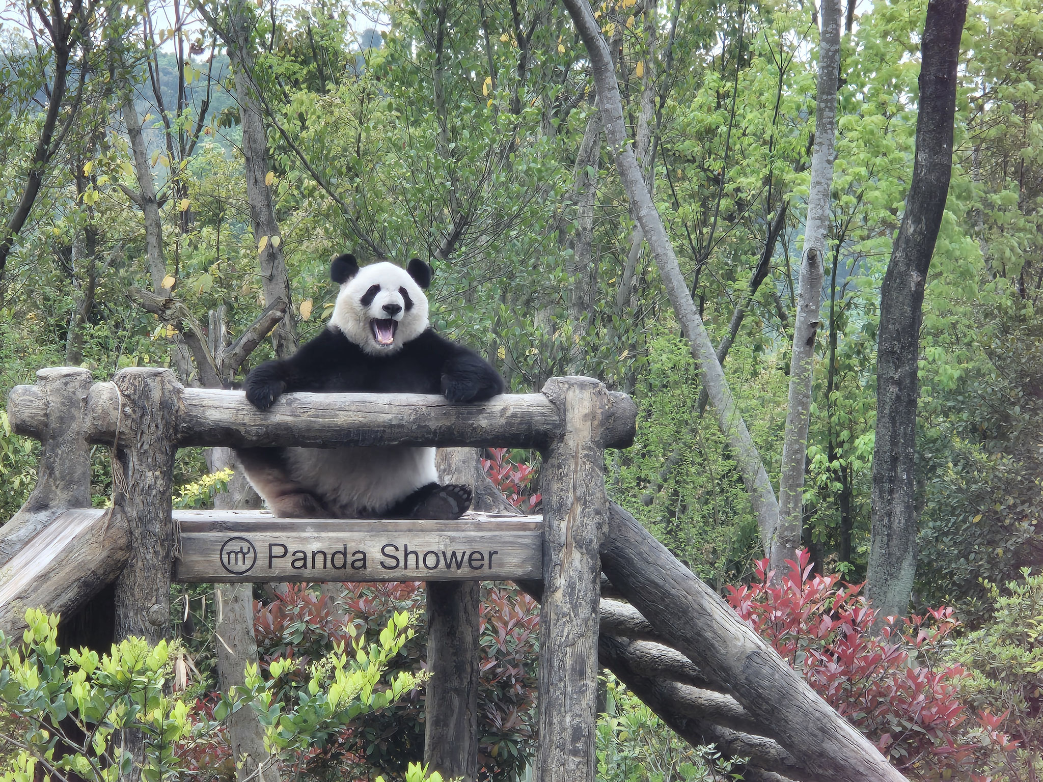 Chengdu