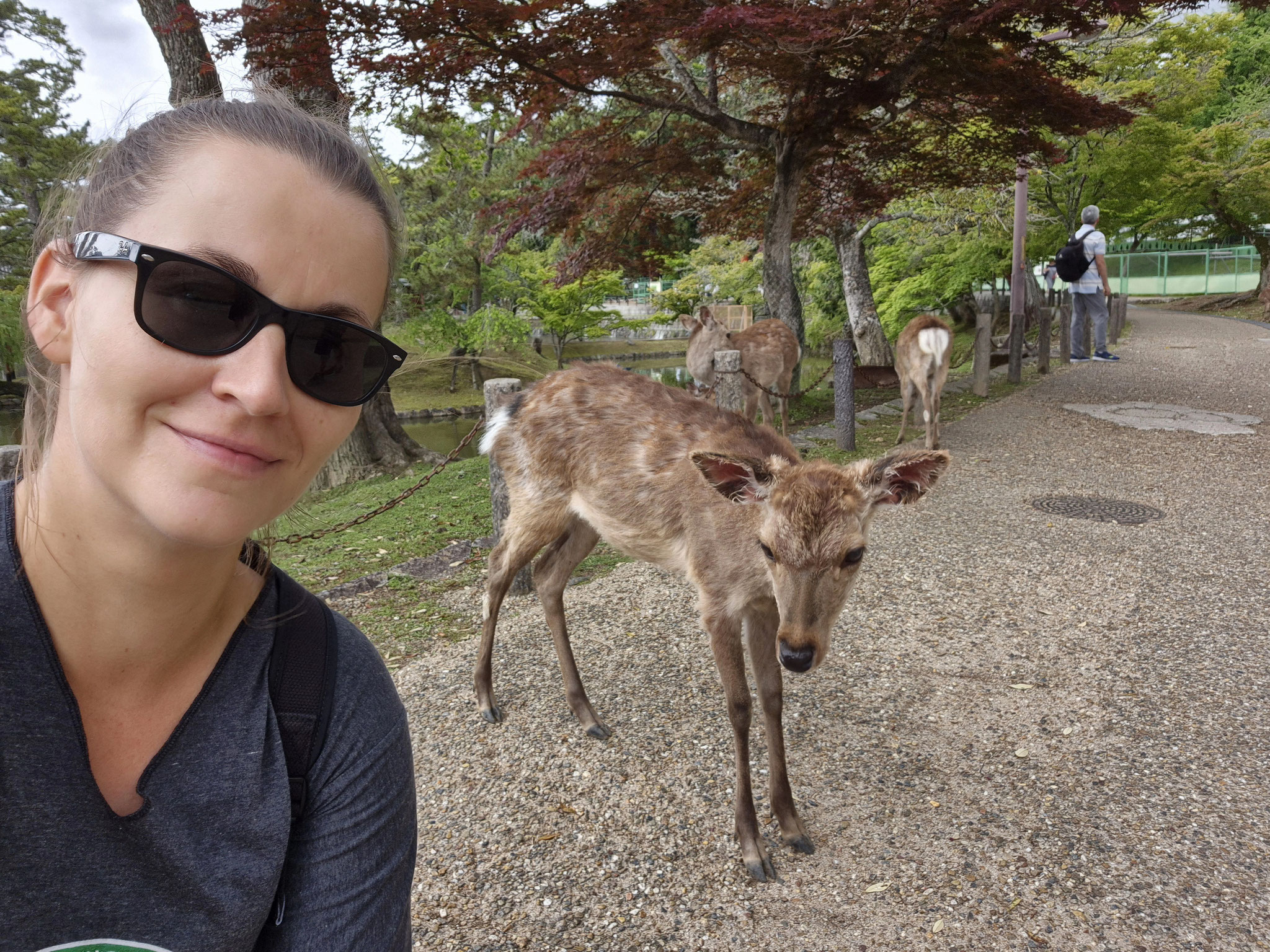 📍Nara
