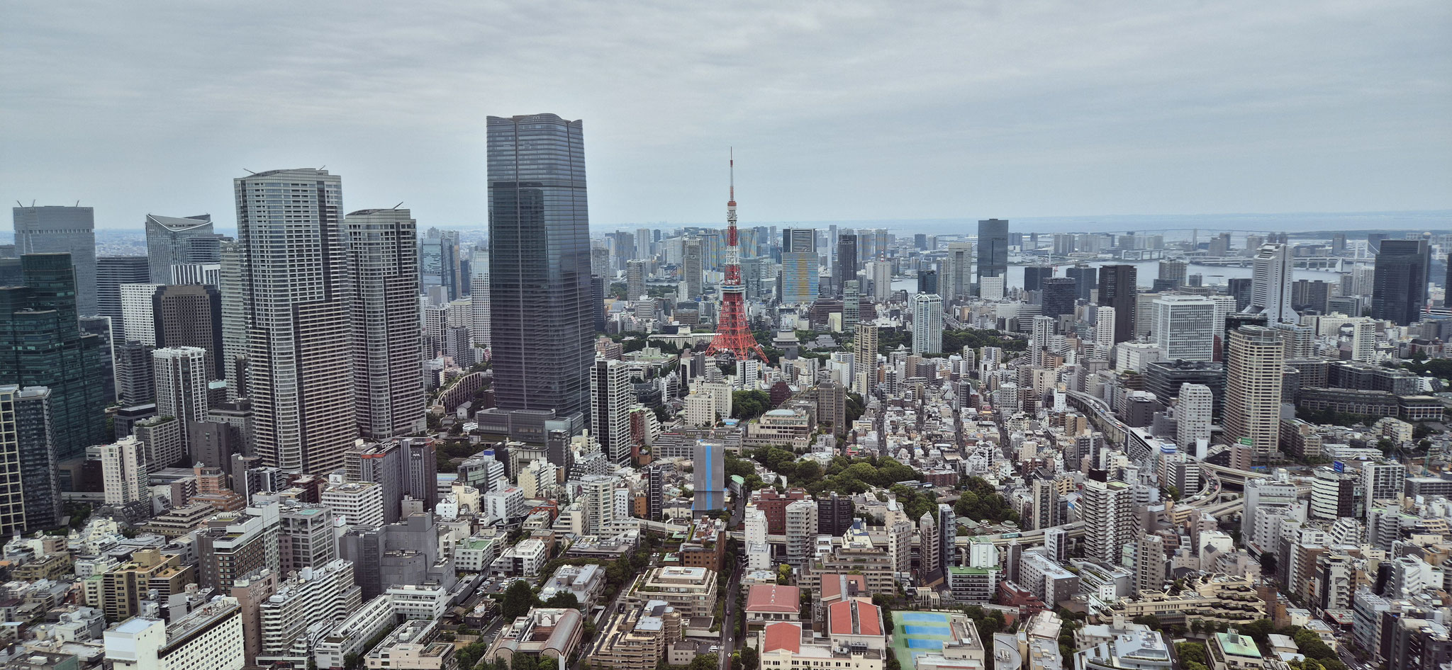 📍Roppongi Hills Mori Tower