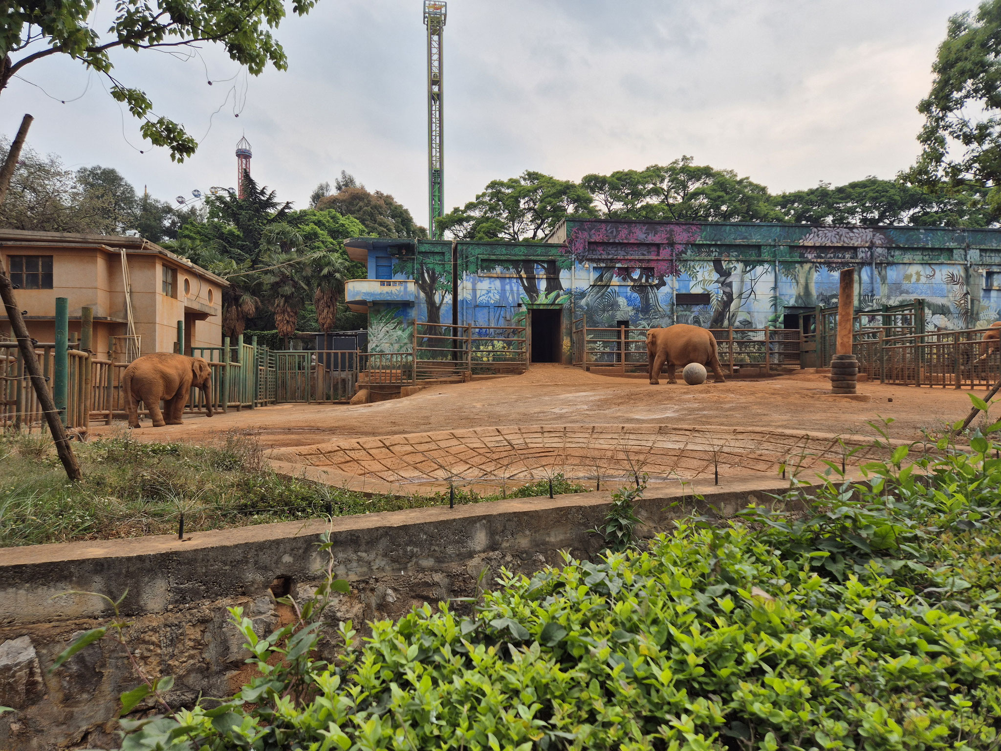 📍 Kunming Zoo 😭