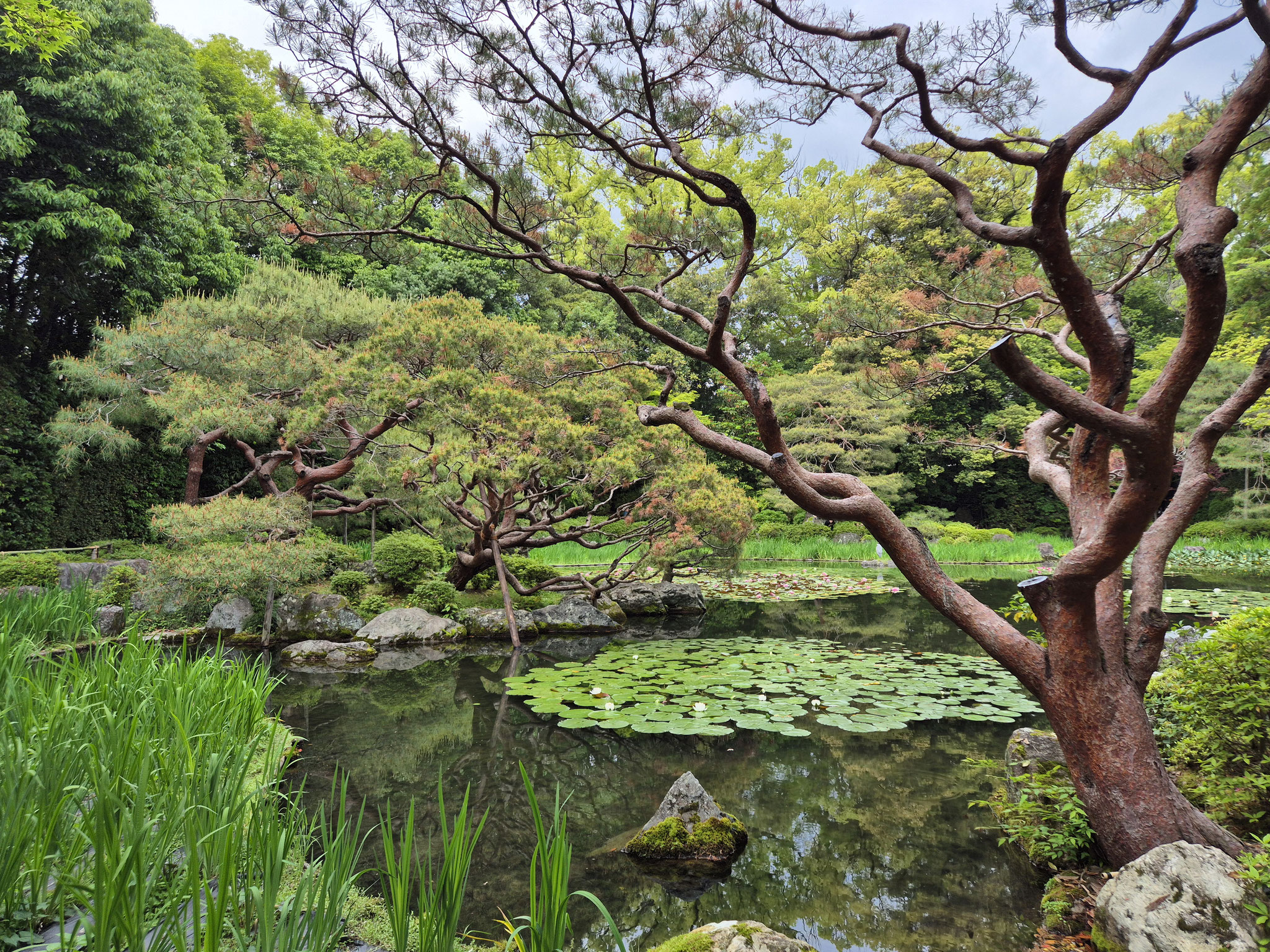 📍Heian-jingū
