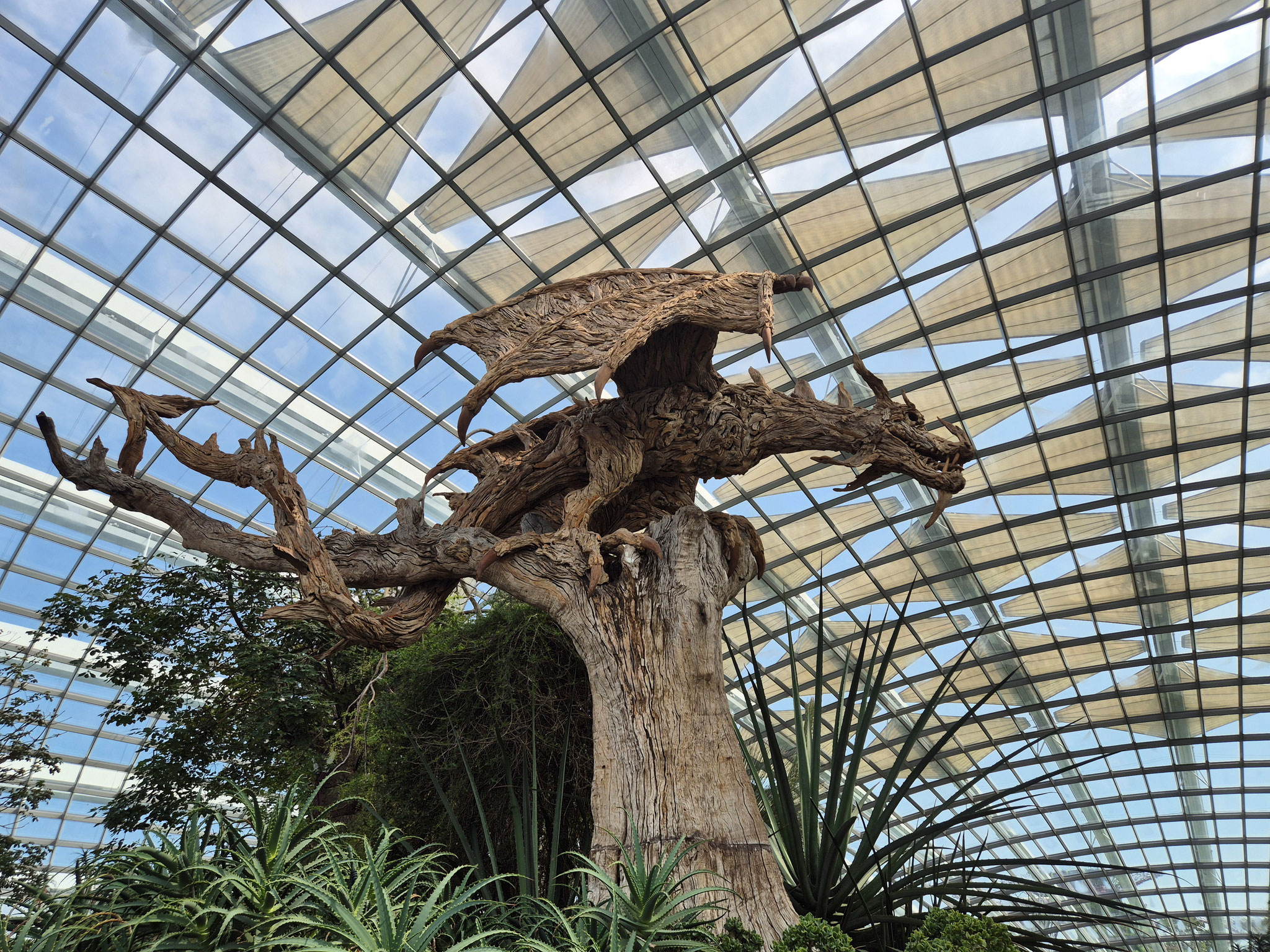 📍Flower Dome
