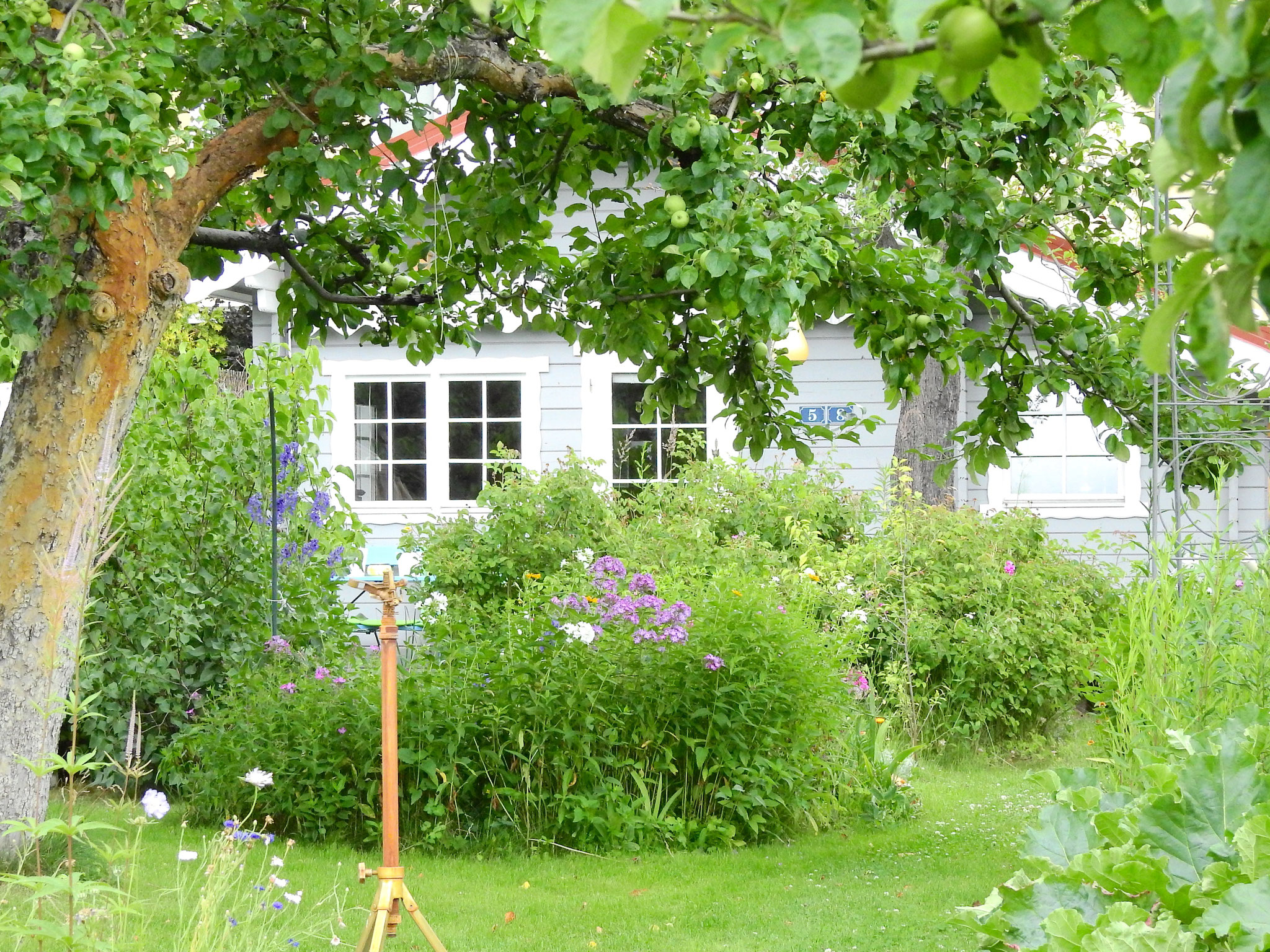 Überlegene 14+ Landschaftsgestaltung Ideen Für Hinterhöfe Mit Hängen