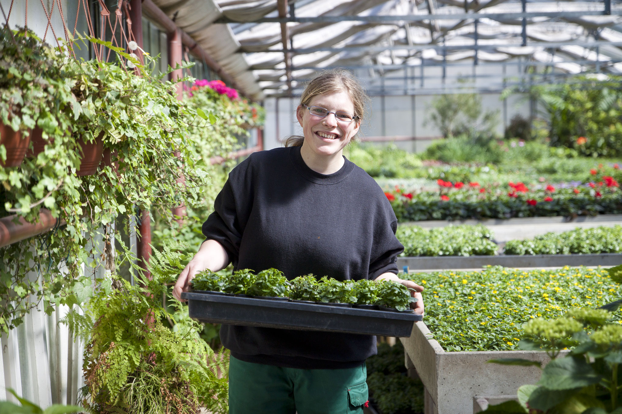 Werkerin im Gartenbau Fachrichtung Zierpflanzenbau Diakonie am Campus