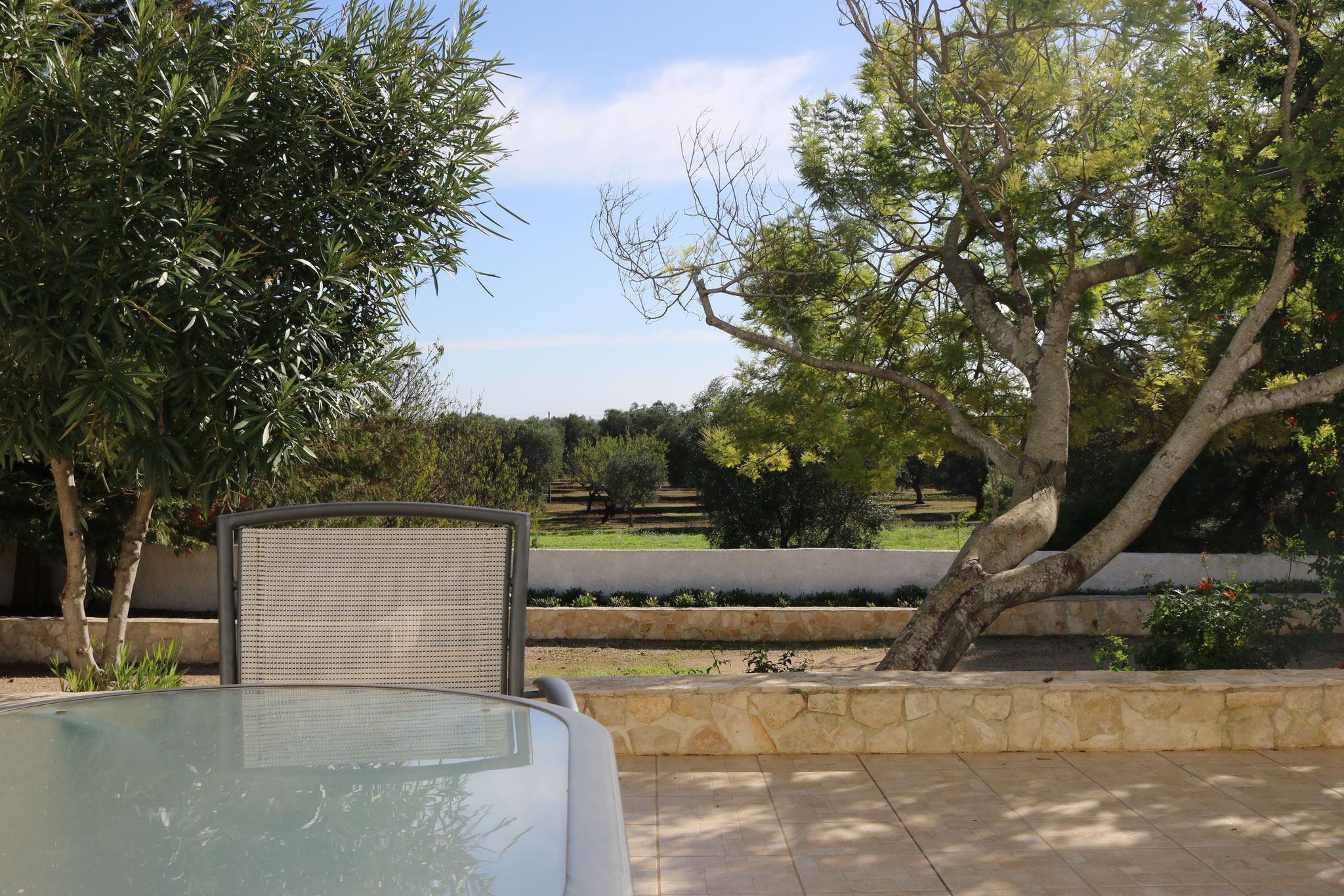 Lecce 5 - Terrazza e vista sugli ulivi