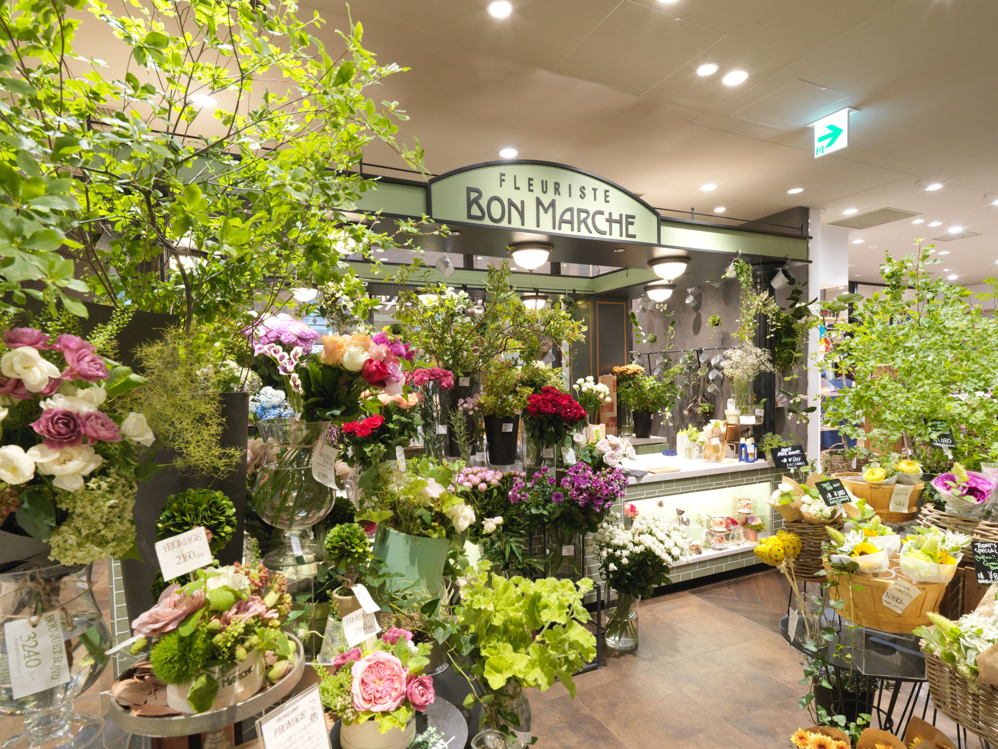 BonMarche CHIBA 