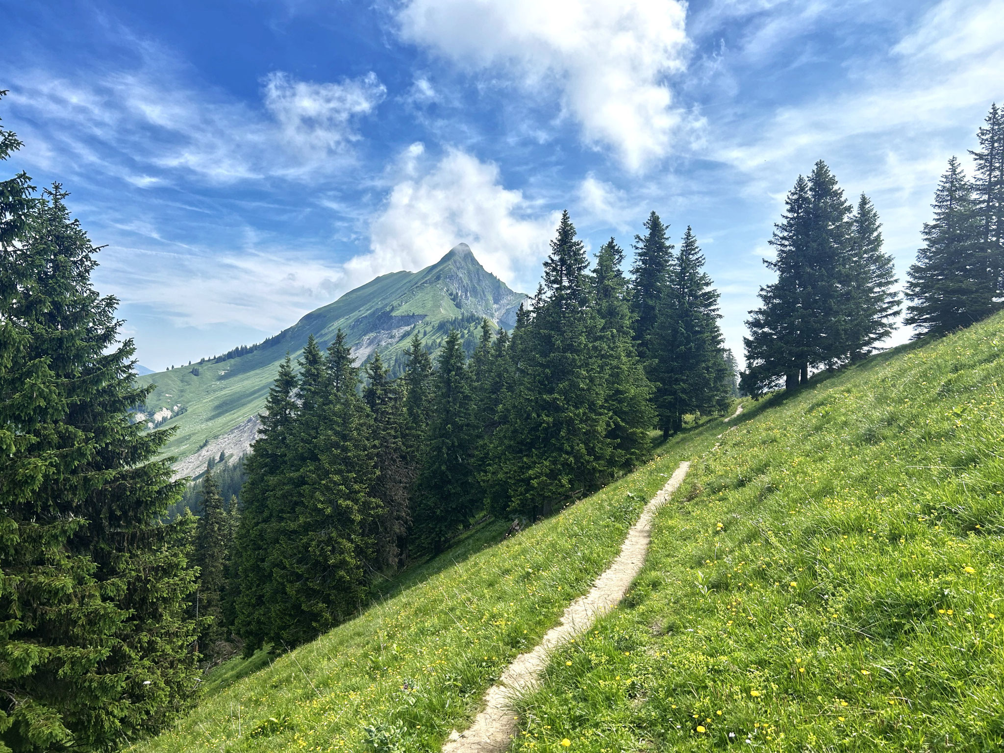 Wanderweg in Richtung Augstmatthorn