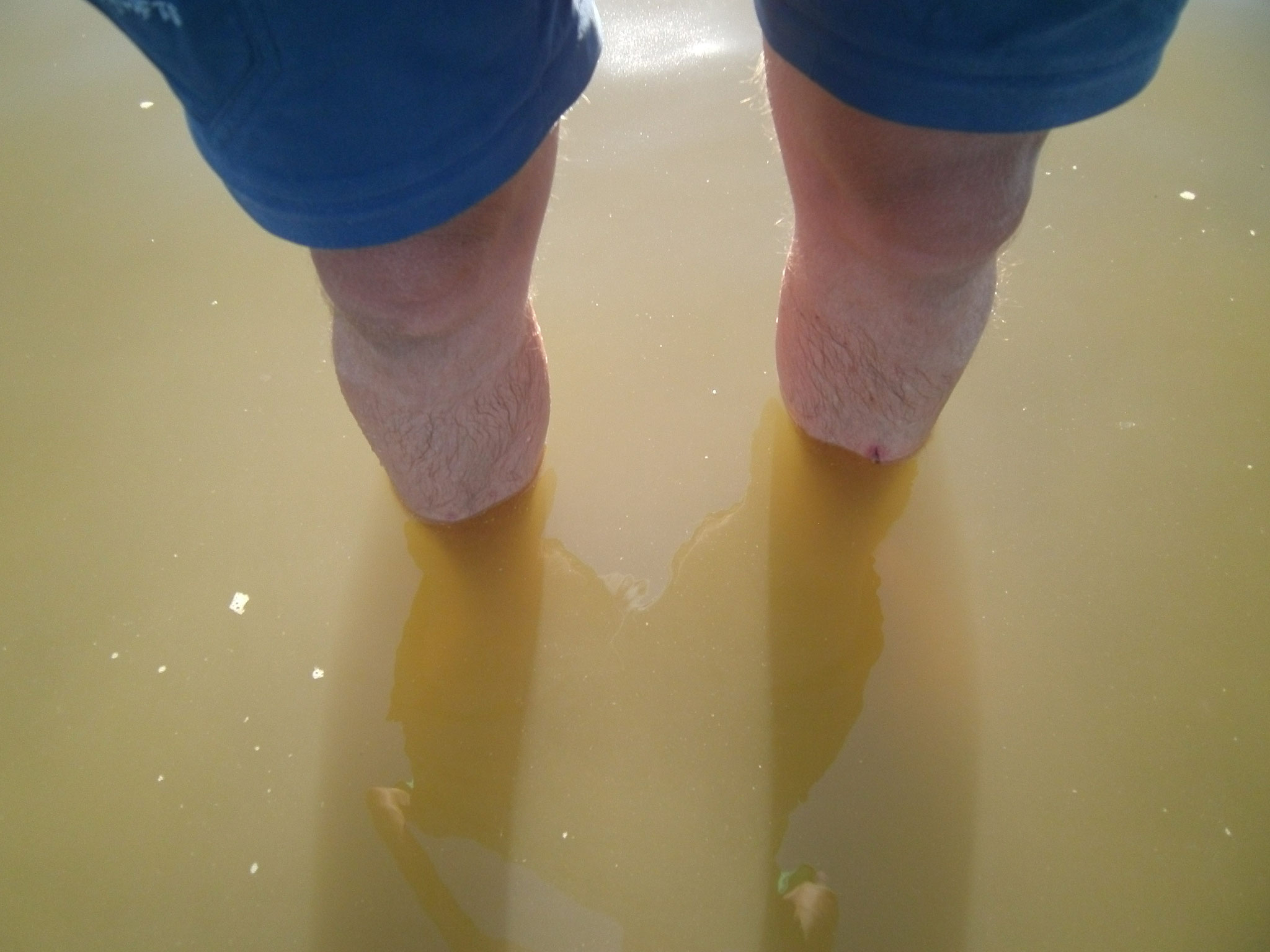 Endlich wirklich in der Nordsee angekommen (Dorum-Neufeld)