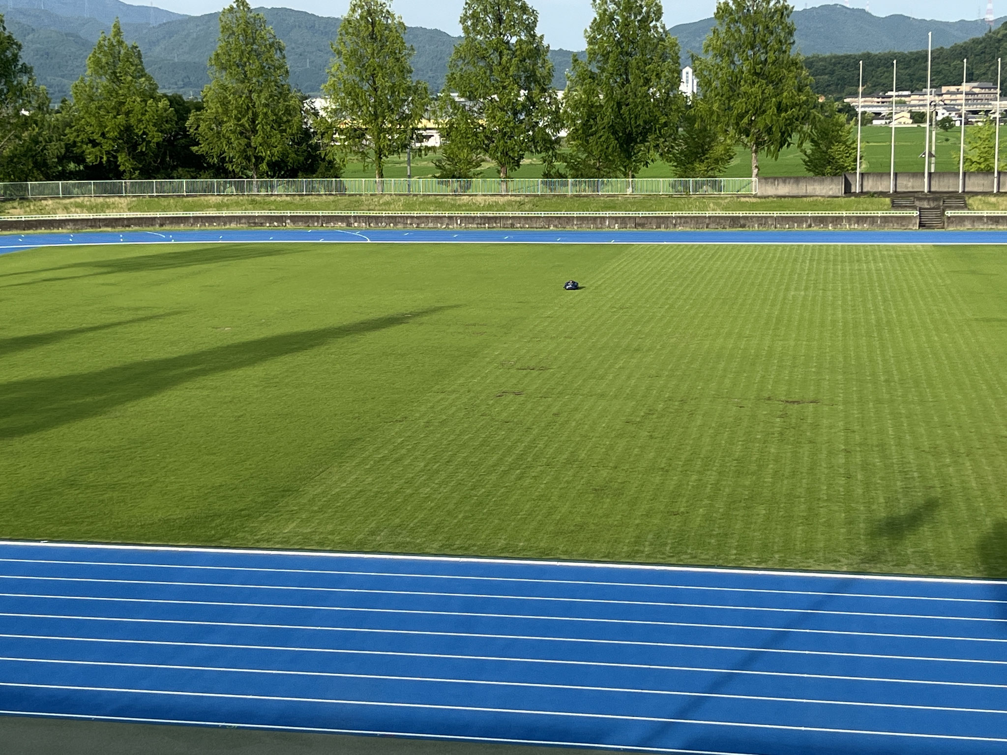 写真右のストライプ部分がエムワンエス走行部、左が刈込作業前。