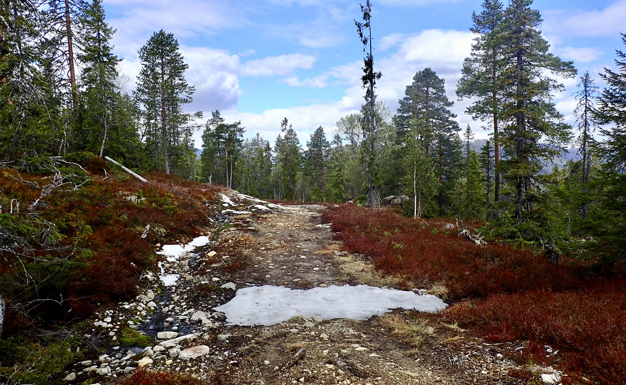 snø reste i mai