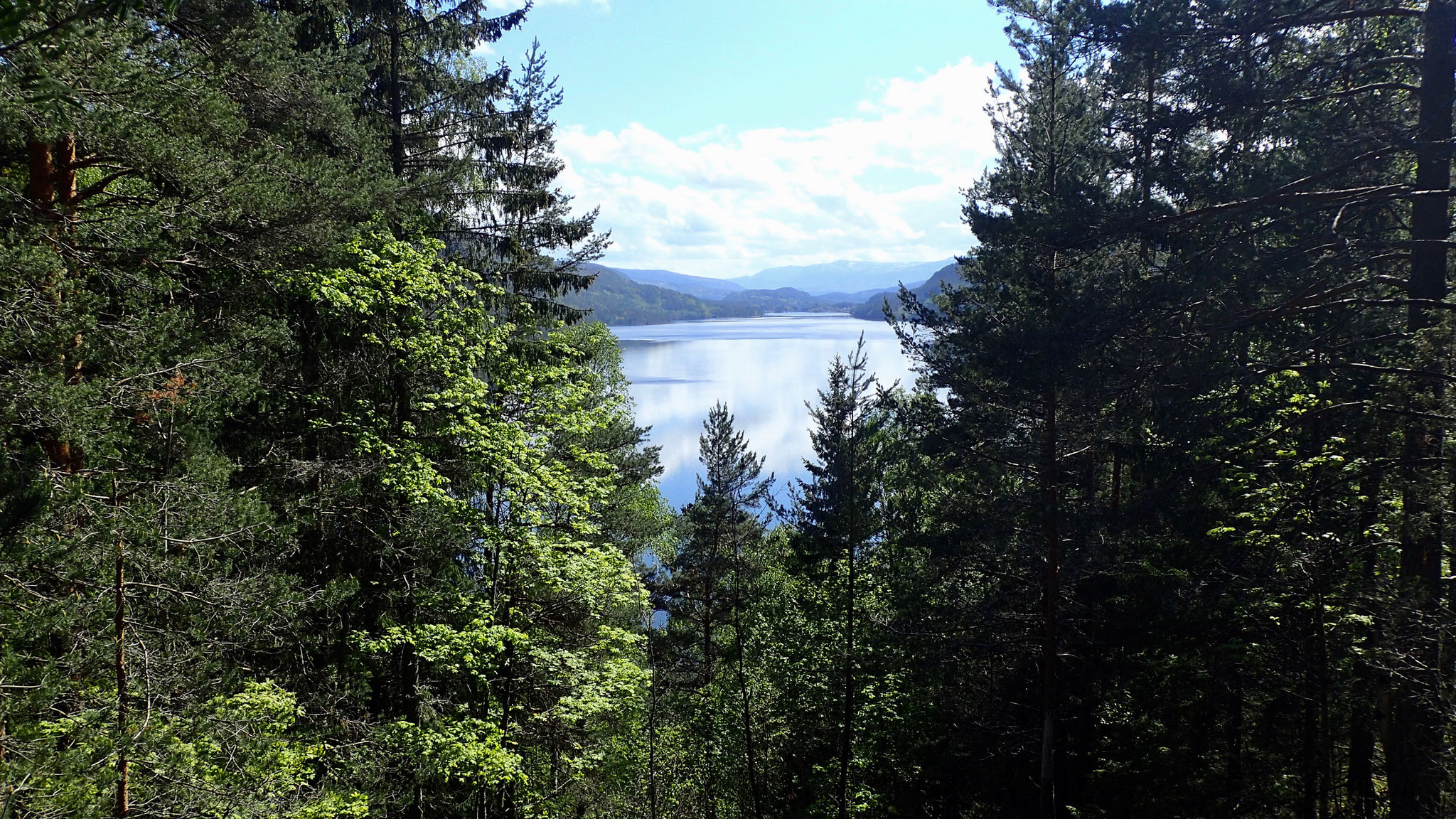 Blick zurück auf den See