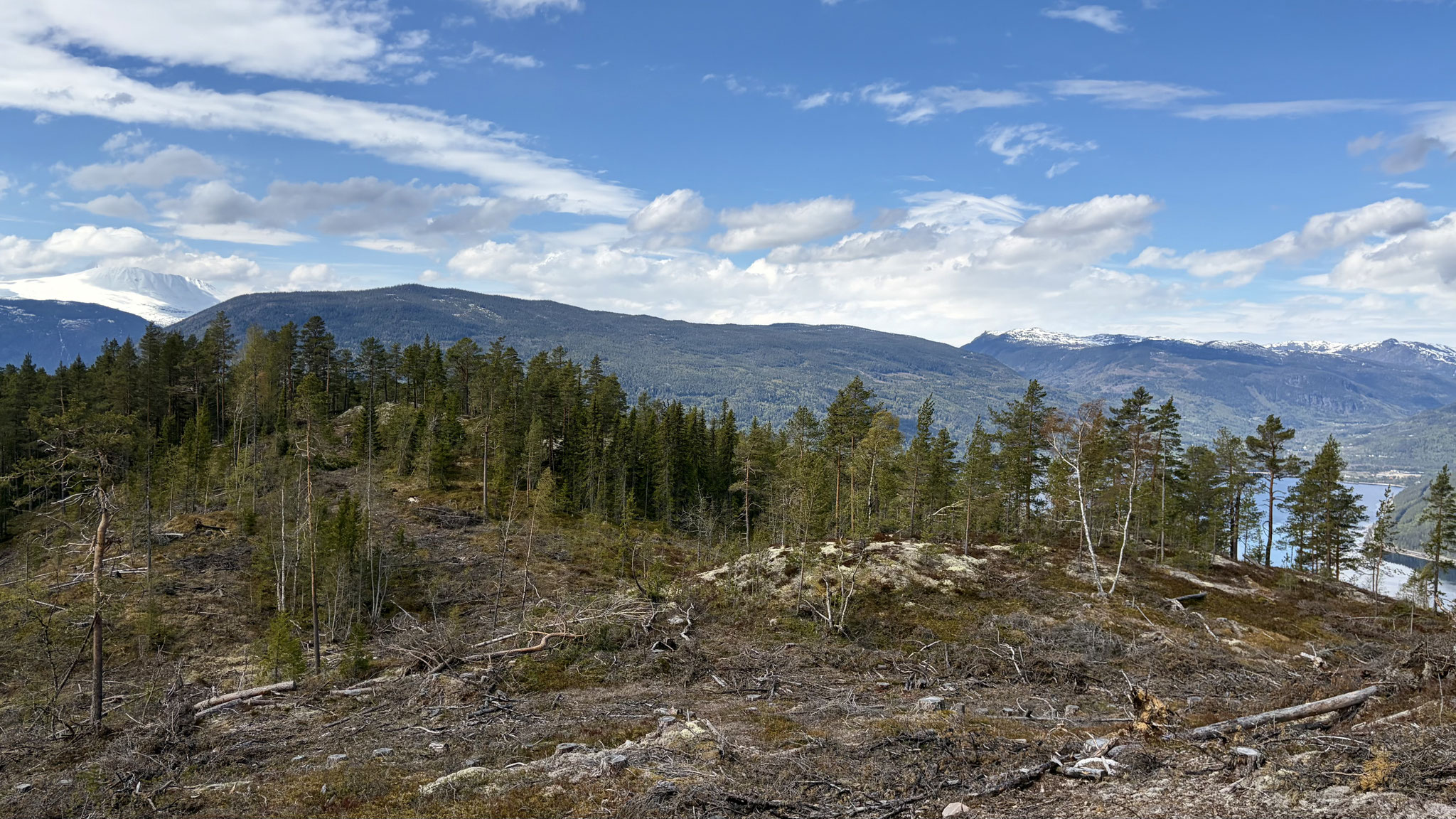 etwas abseits von Weg könnt ihr die Aussicht auf den Gaustatoppen und den See geniessen