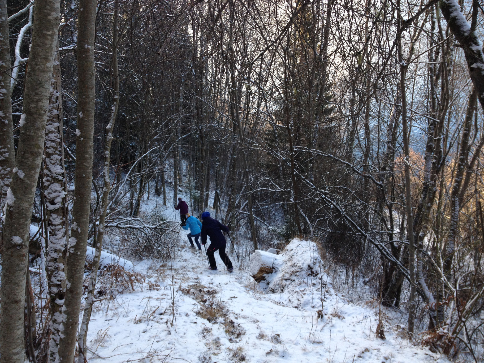 die Nordic Walking Damen "på tur"