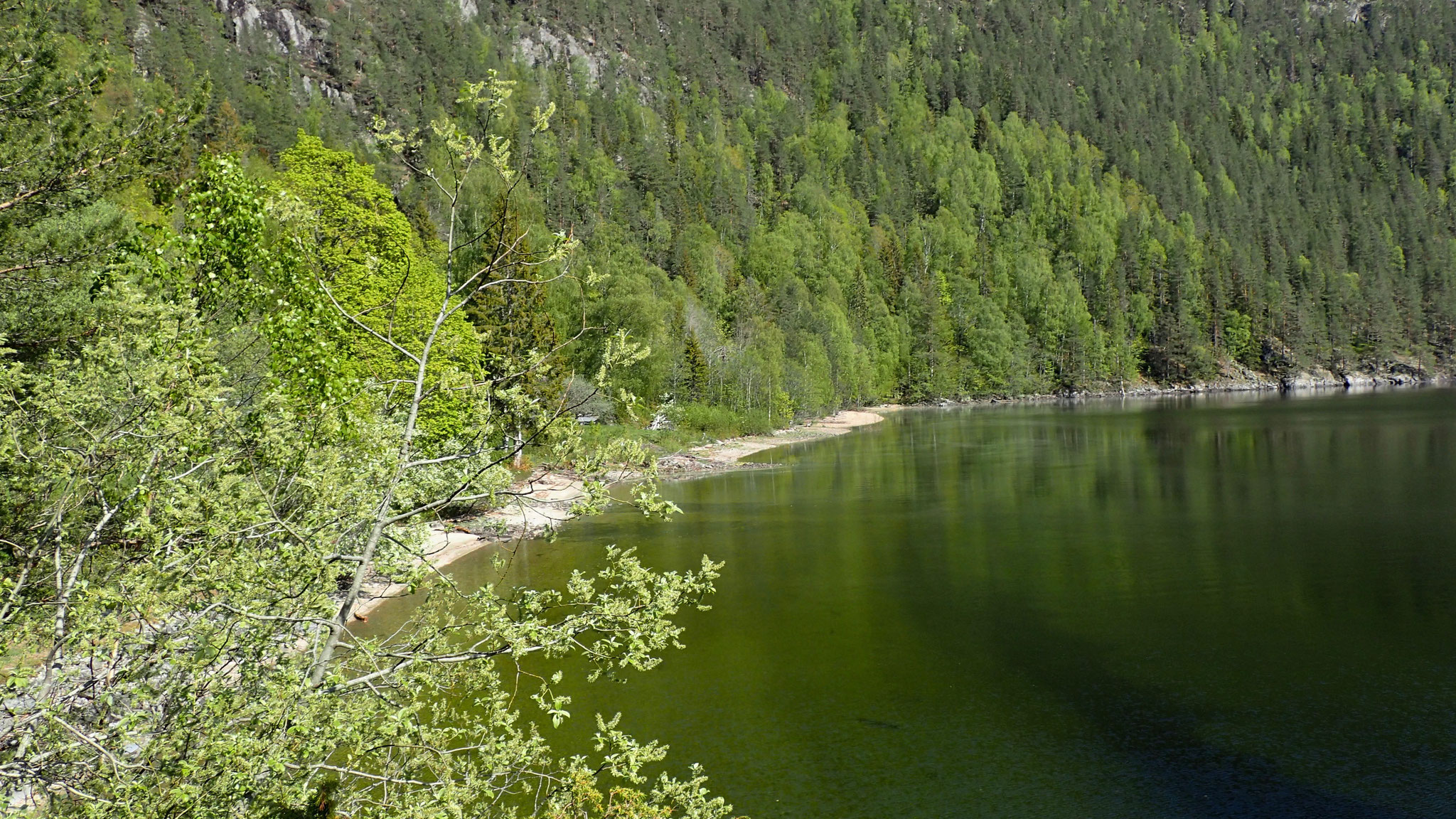 Sandvika Strand - Hovin