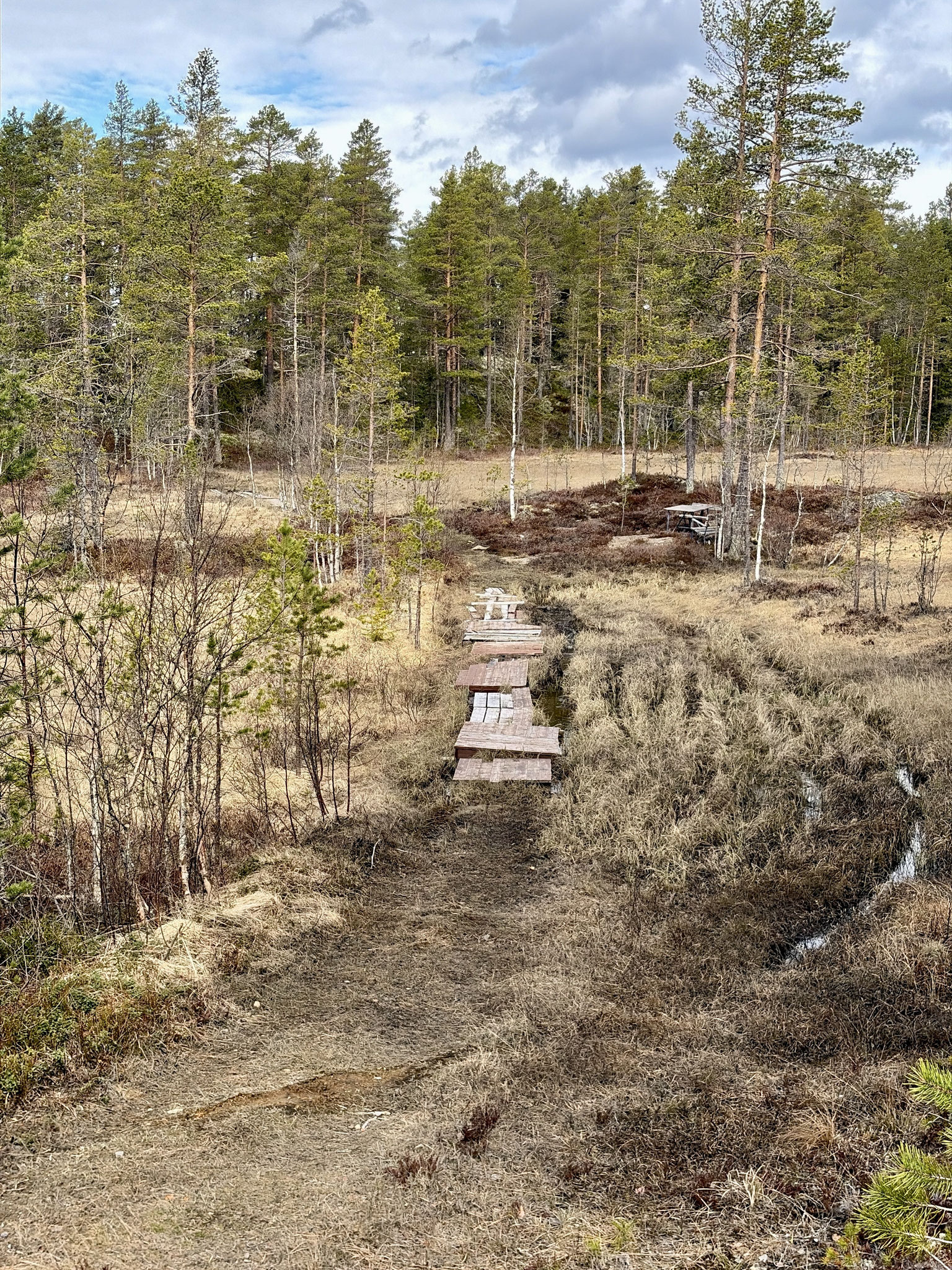 myrområde, men lett å krysse