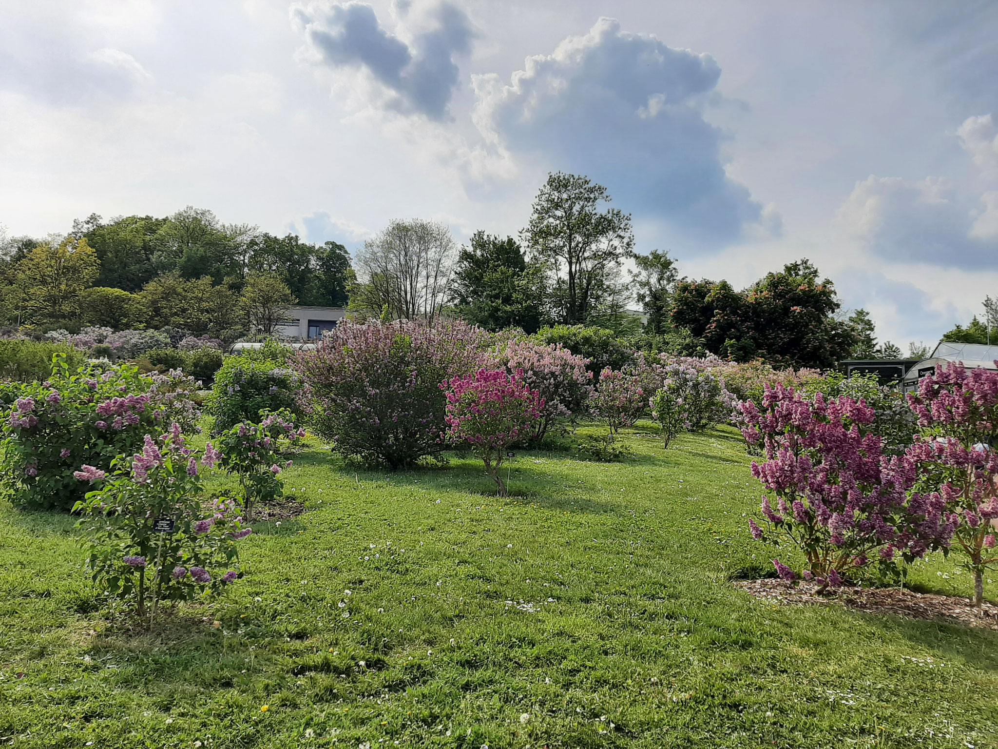 Botanical Garden Nancy