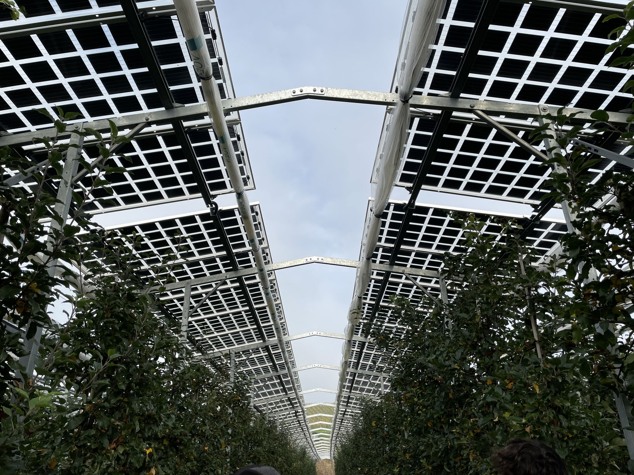 APV above apple orchards Family Bernhard