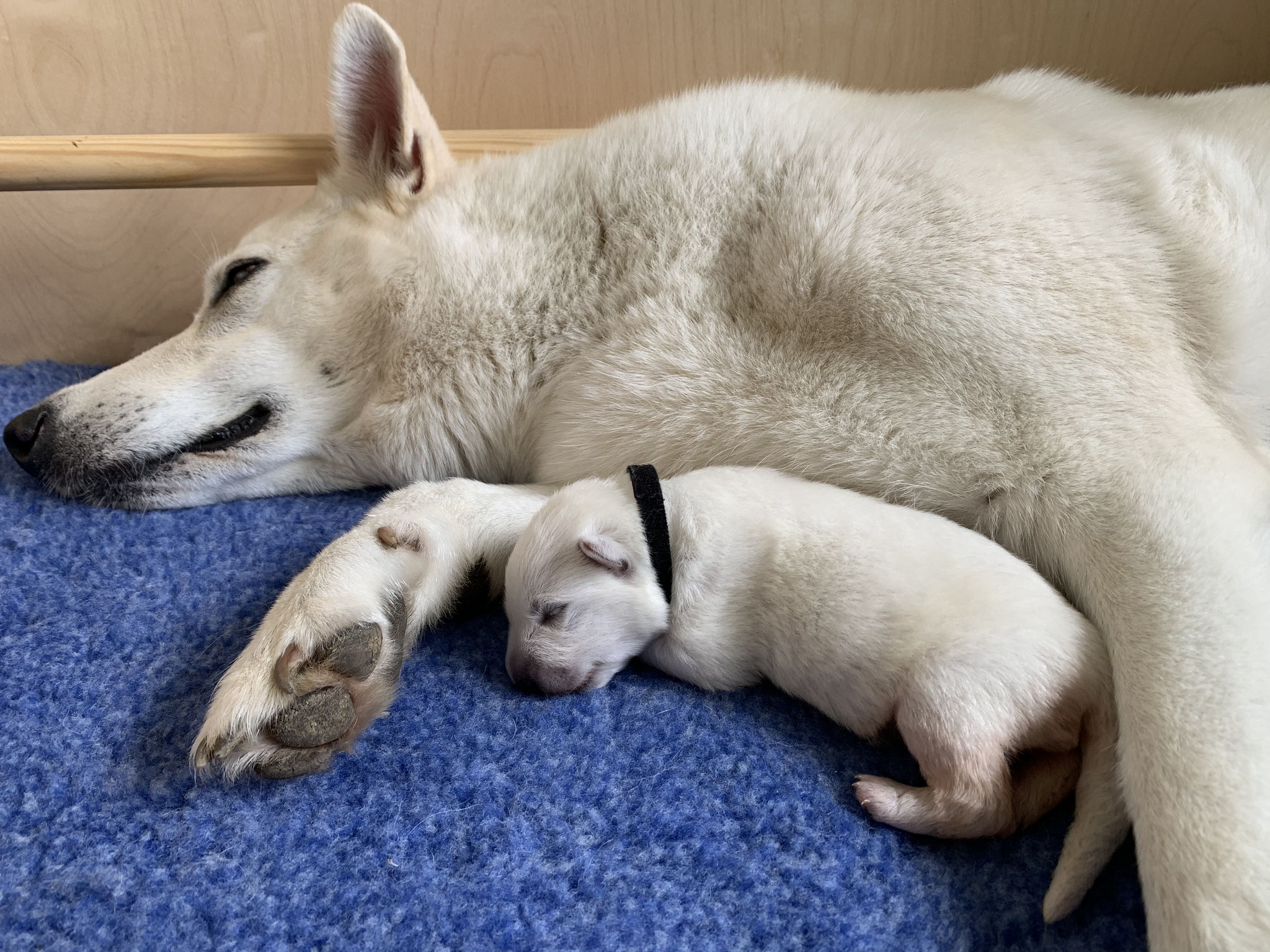 kuscheln mit Mama