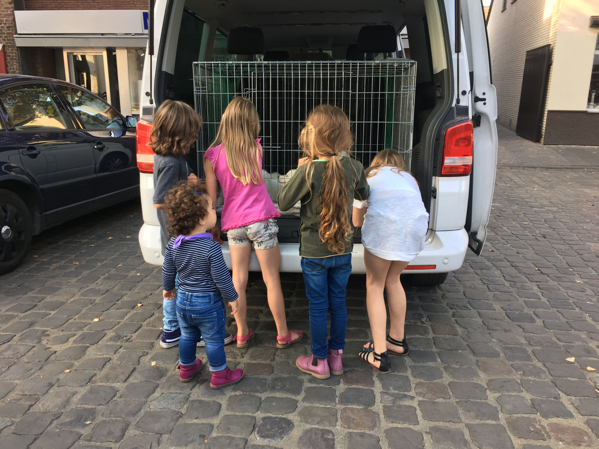 wir waren die Attraktion