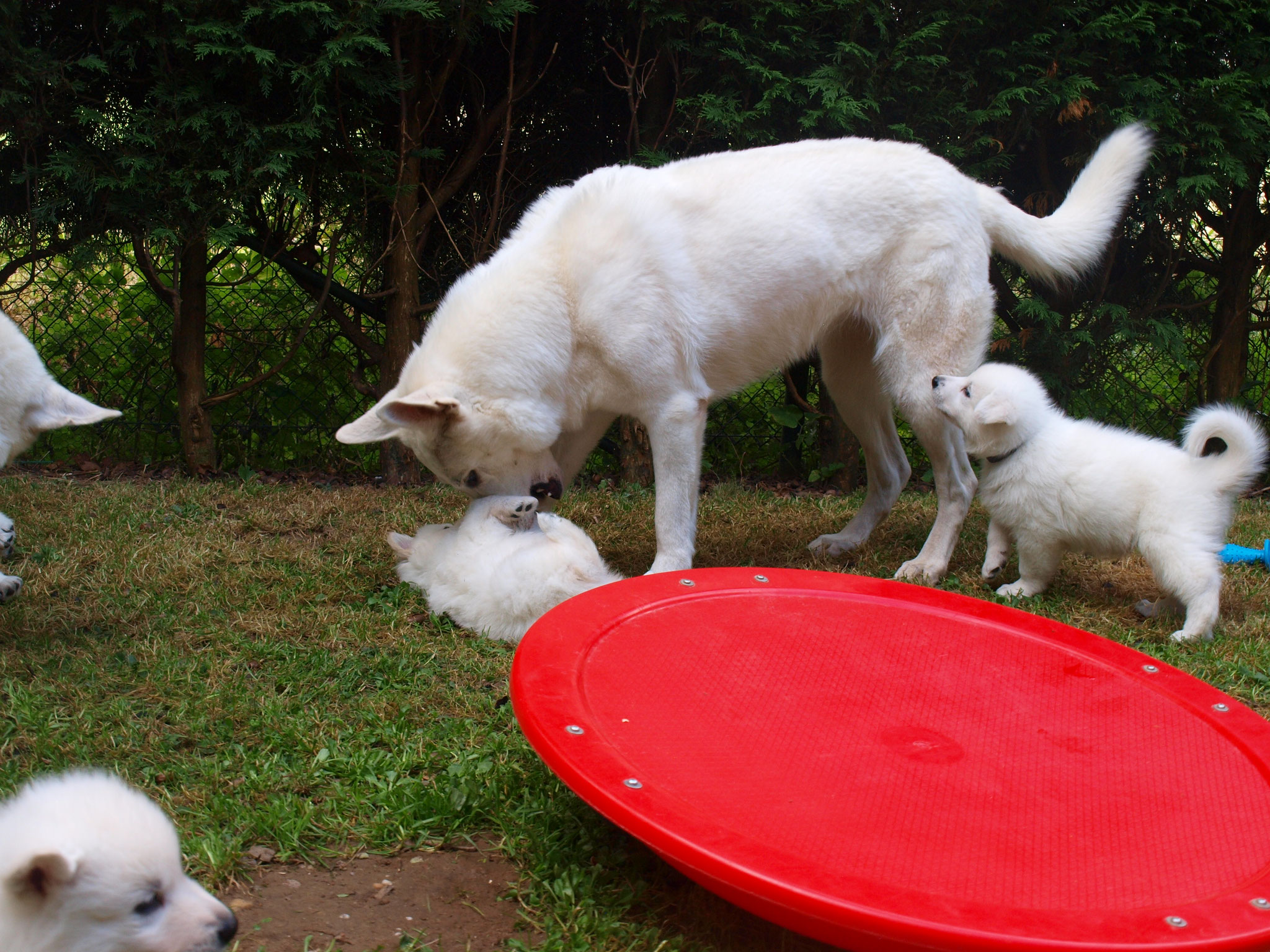 mit Oma spielen