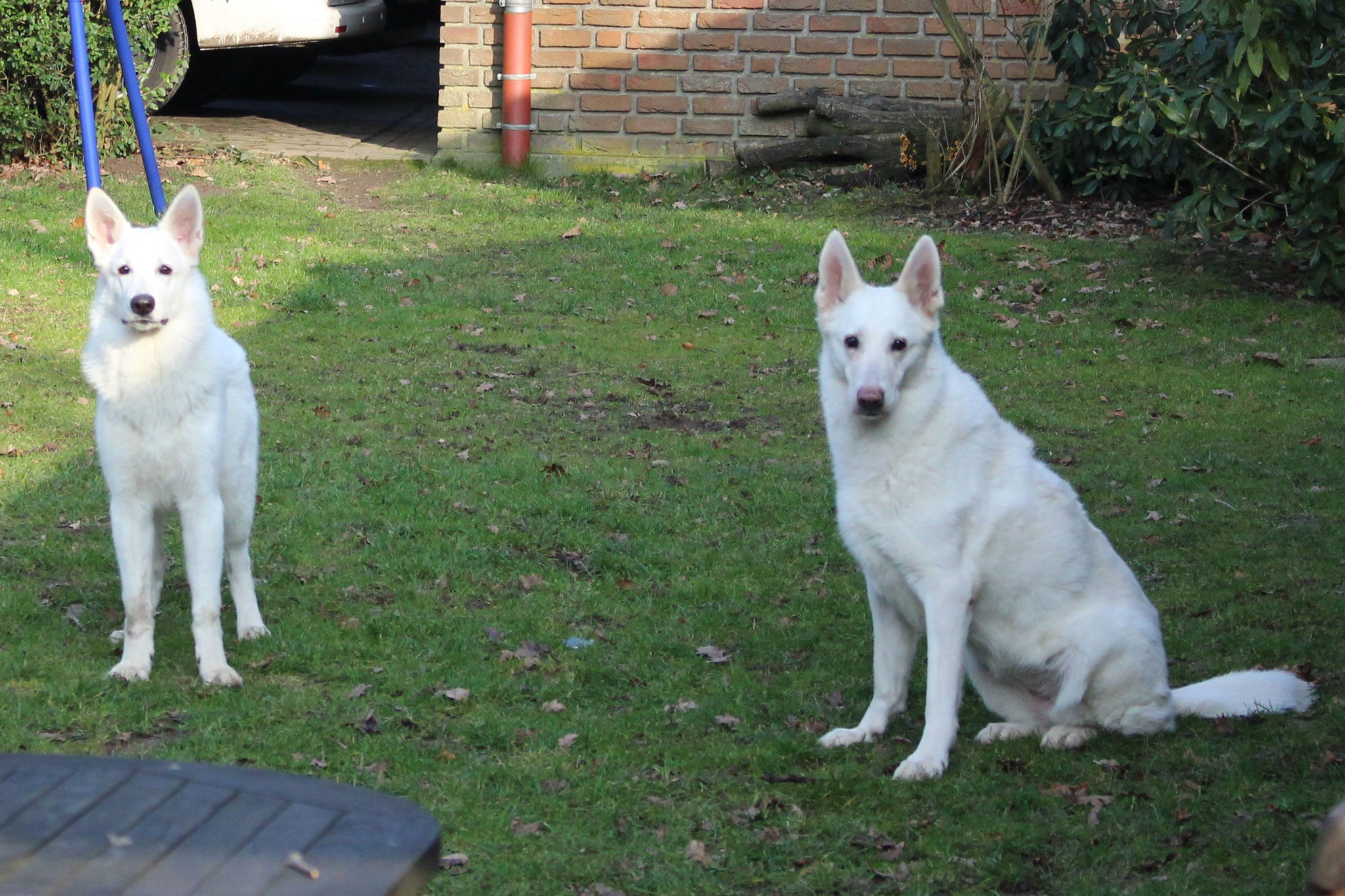Nikan und Gaia