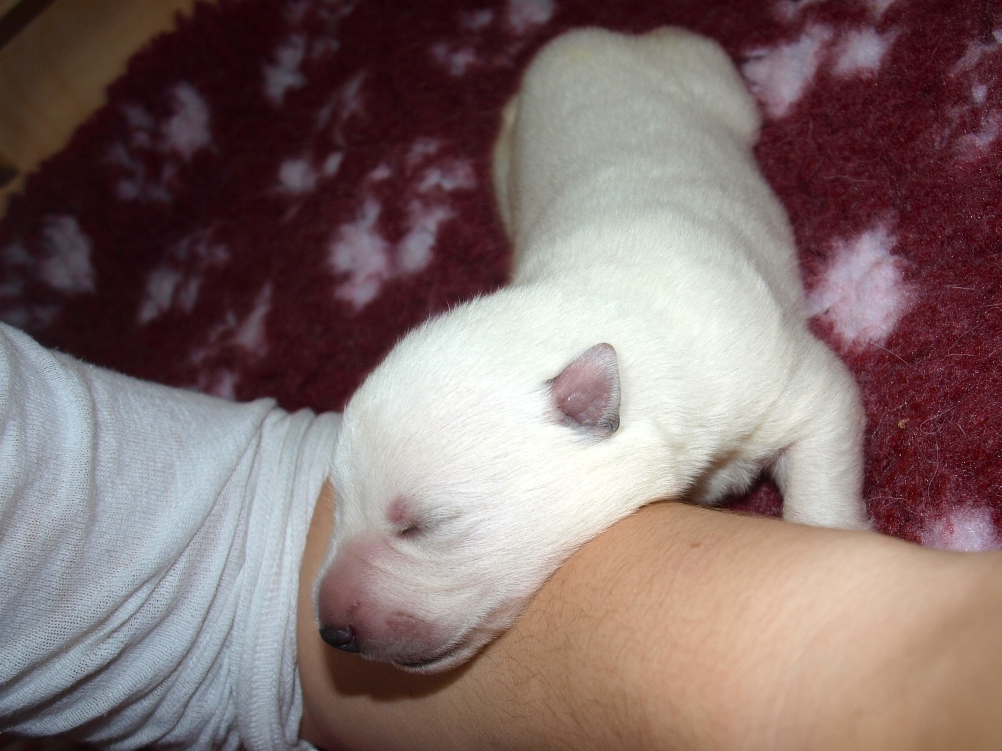 Kuscheln mit uns