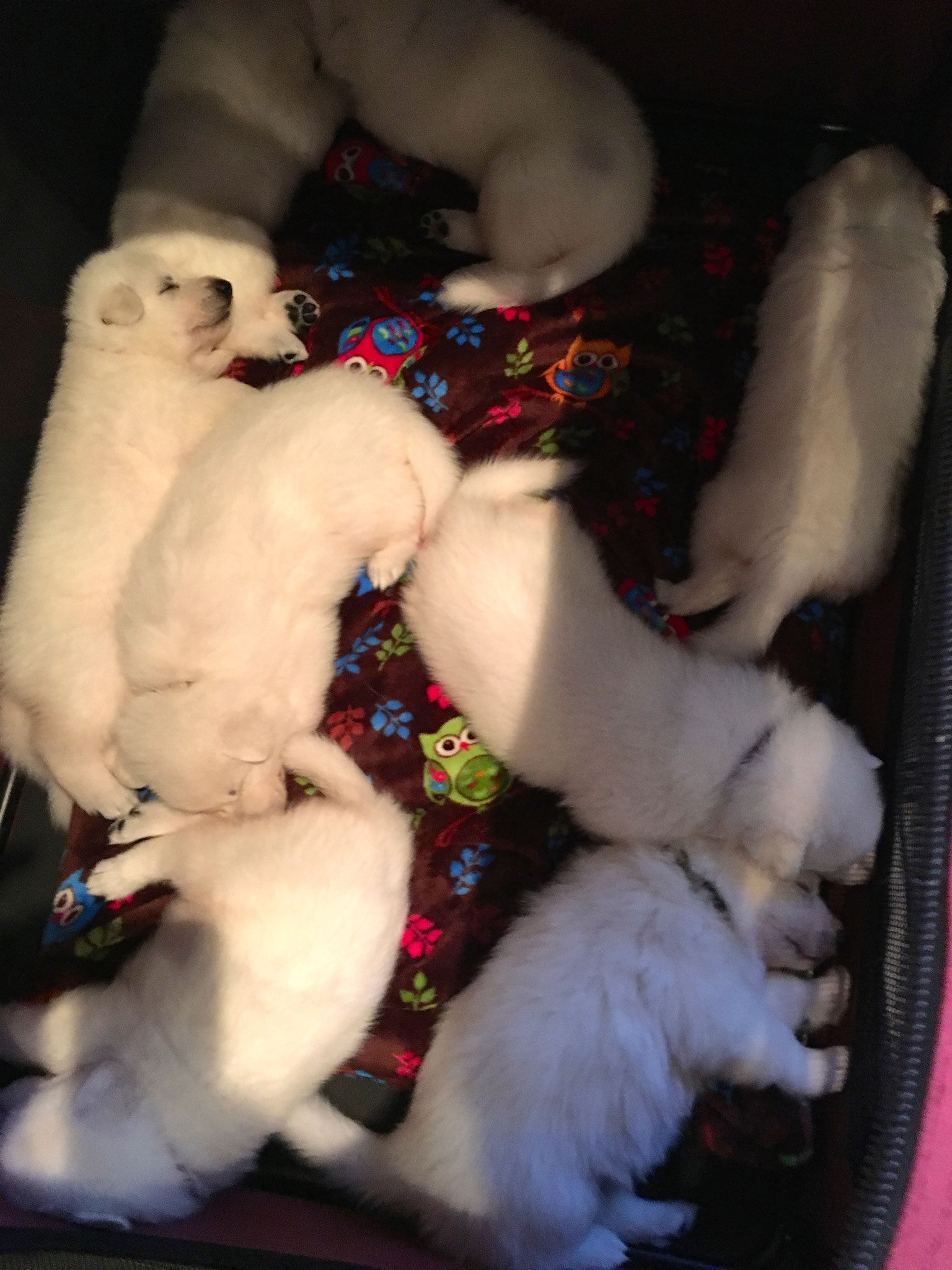 in der Box