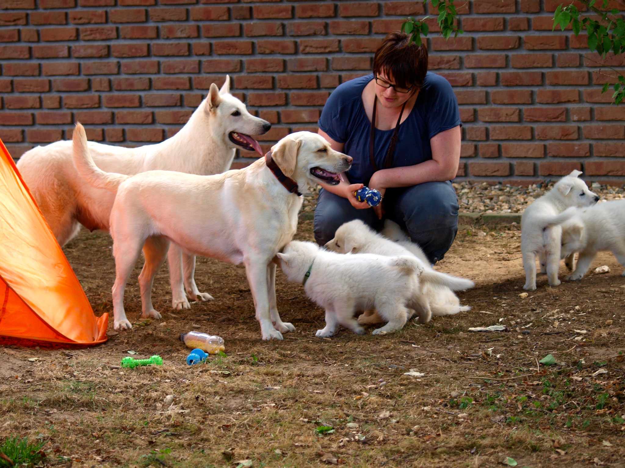 Milka und Maya bei den SchokoBons