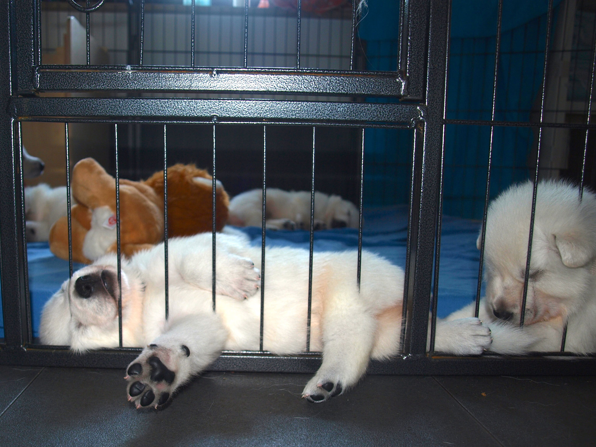 Hinter Gittern