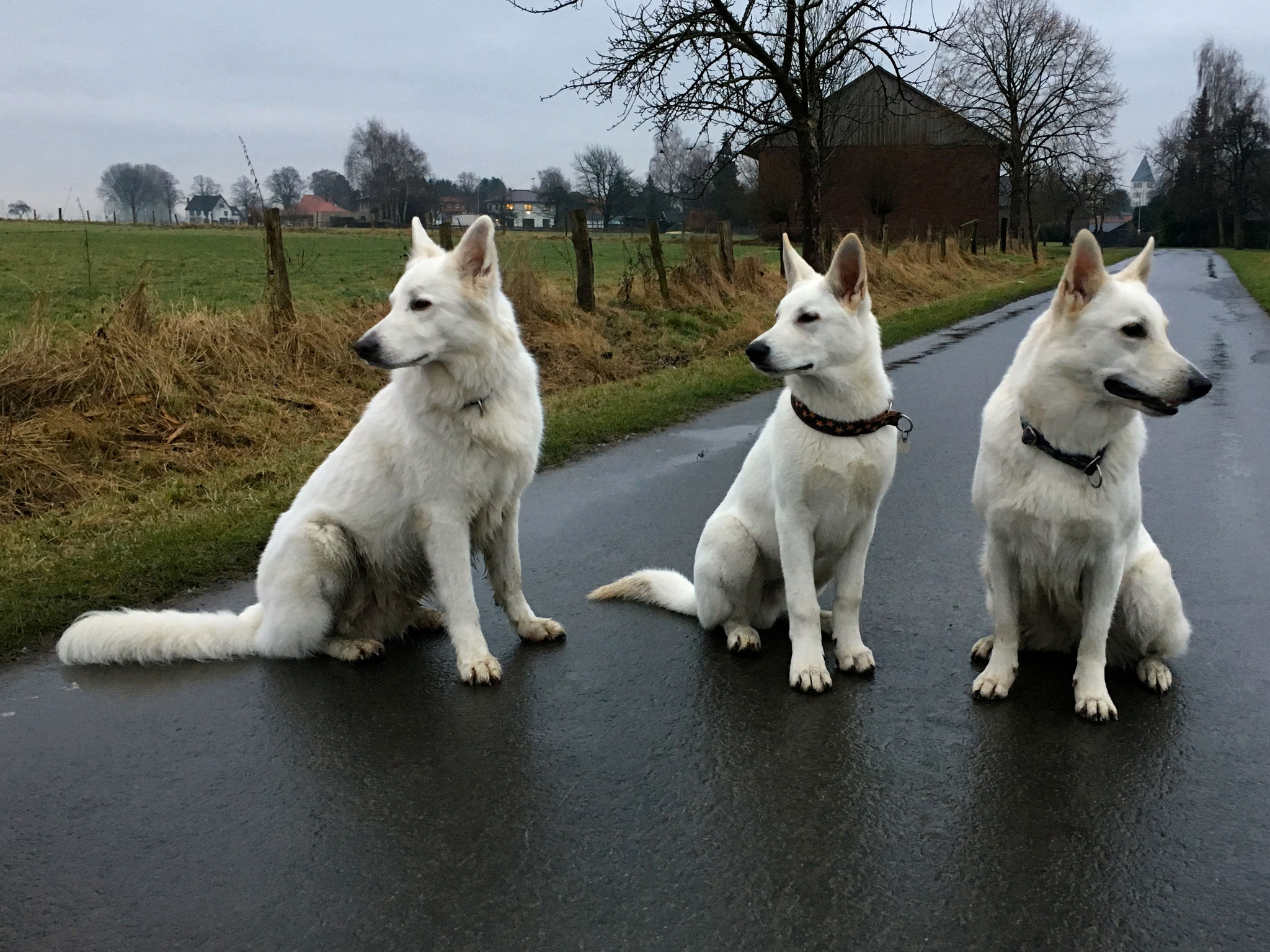 Foto? Wo?