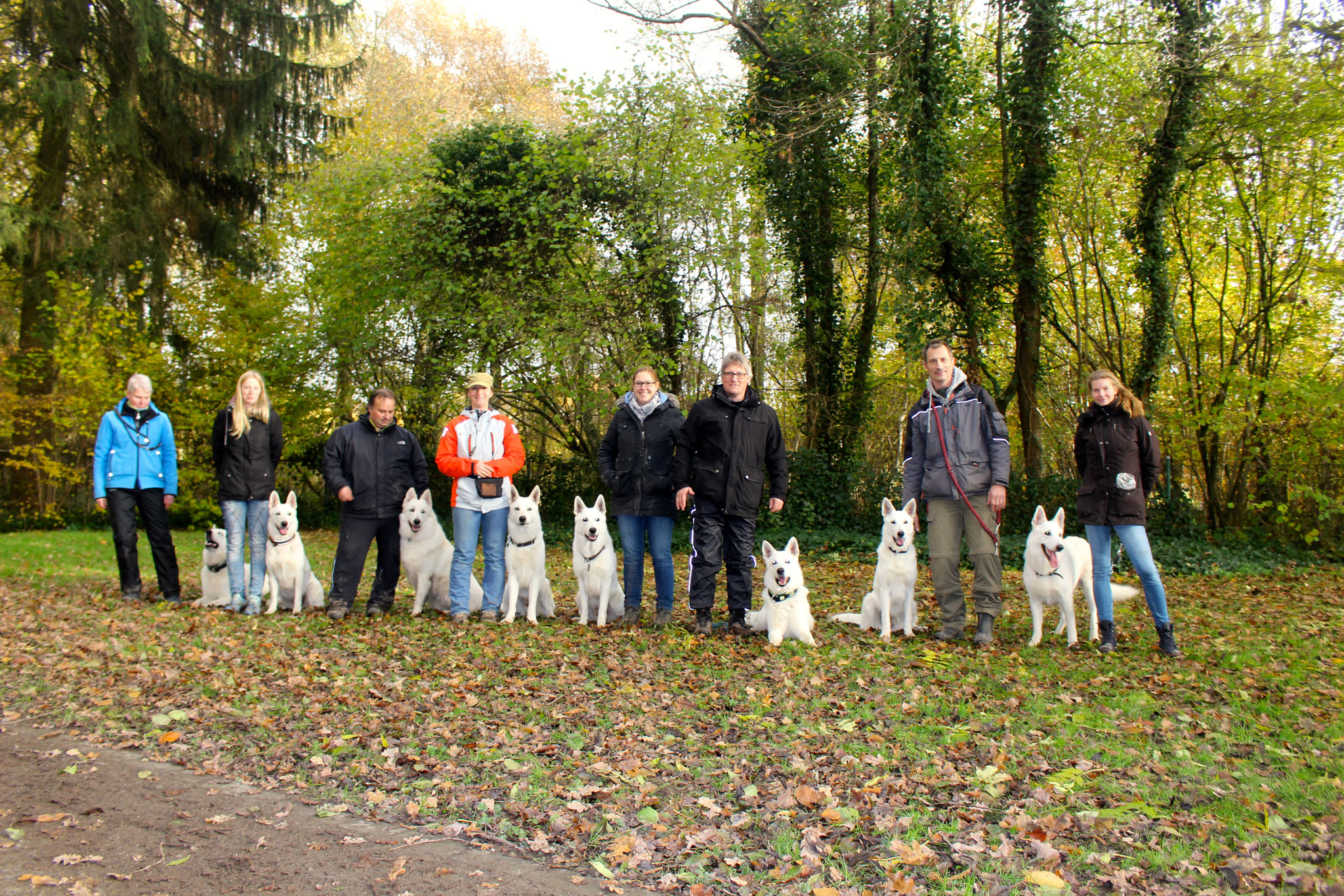 von links nach rechts: Flaco, Akira, Prince, Buddy, Dexter, Nikan, Breeze, Milow (Aiyana war leider nicht mehr da)