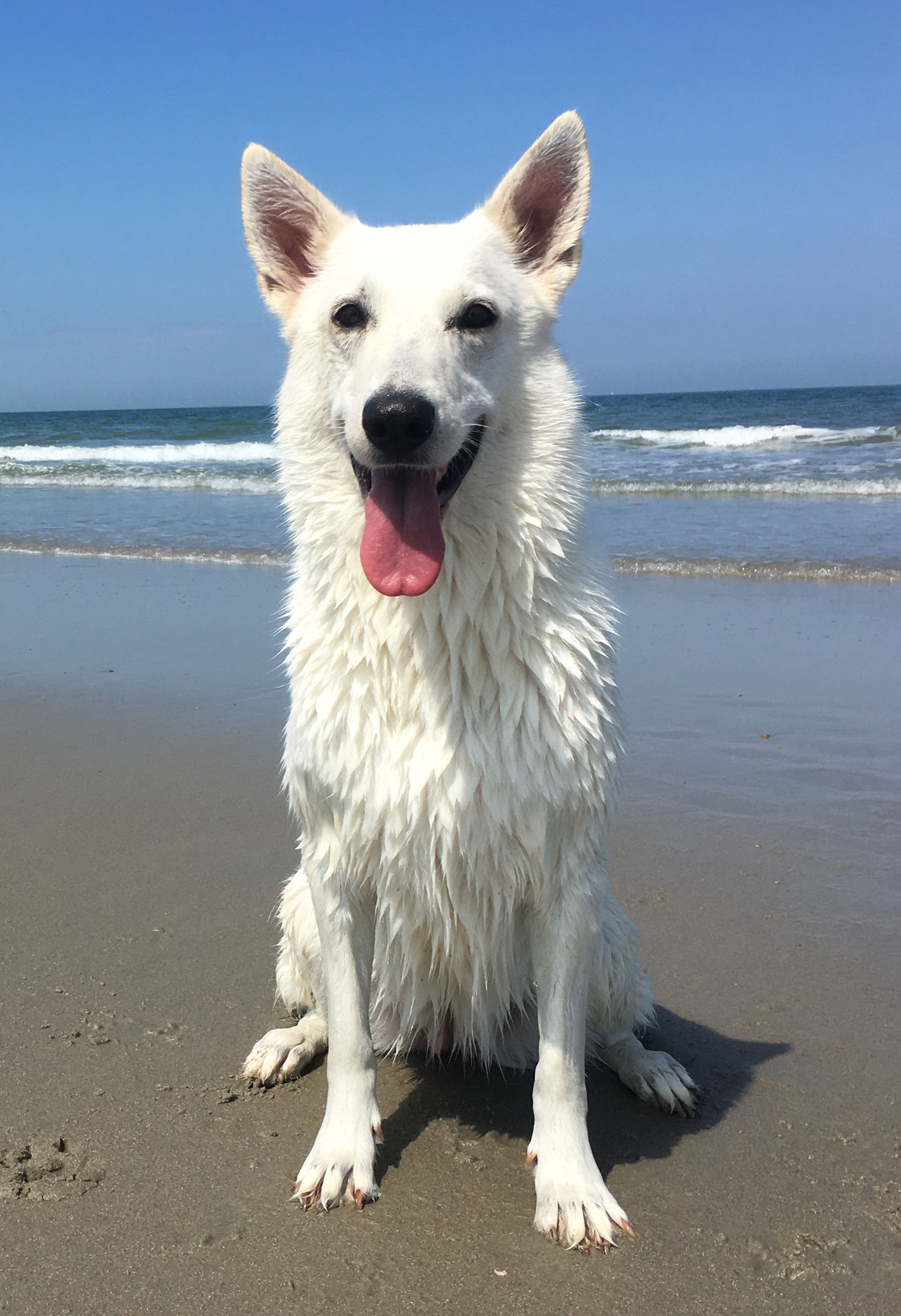 Wasser und Sand - Lieblingselemente